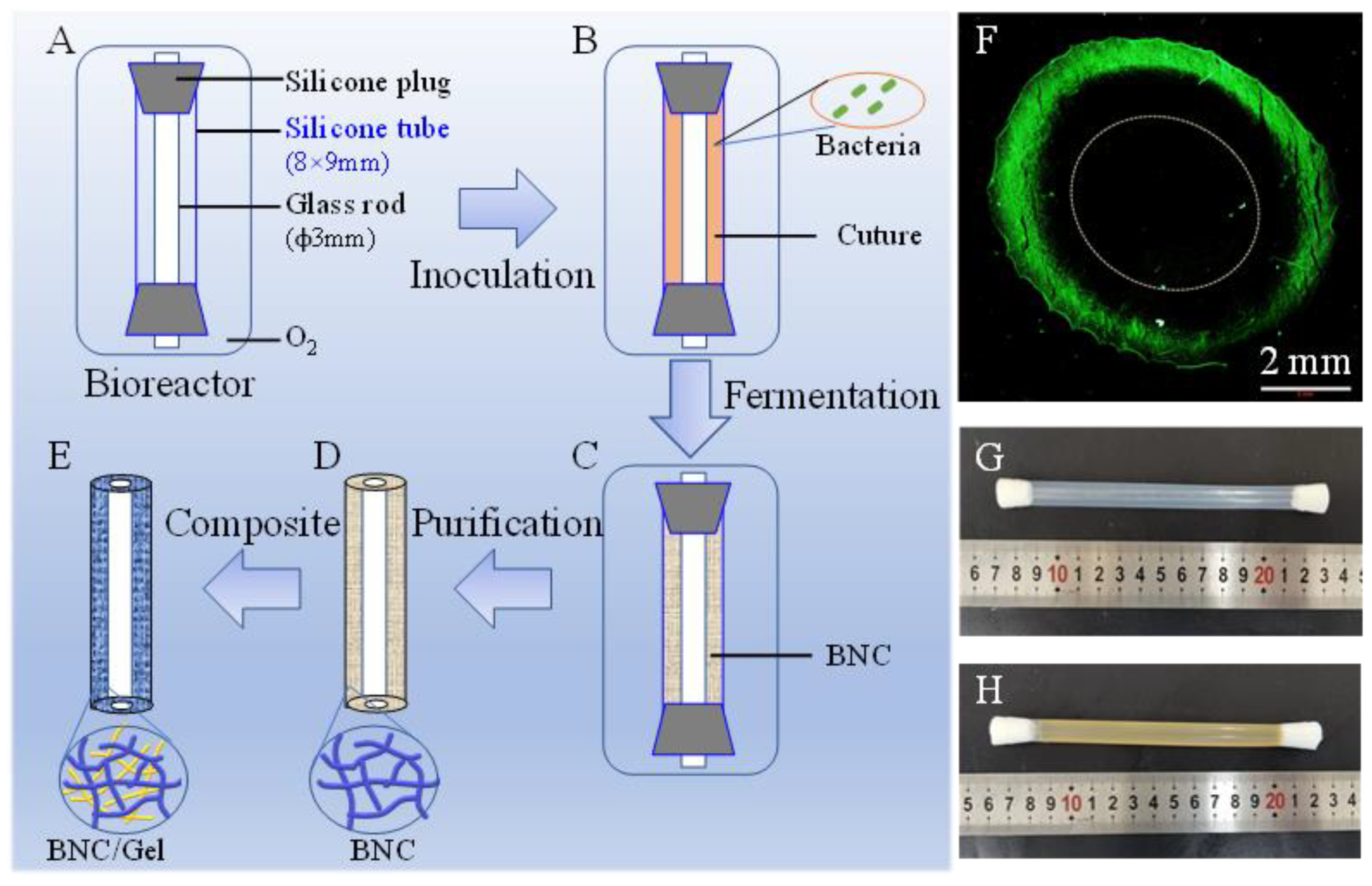 Polymers 14 04367 g001