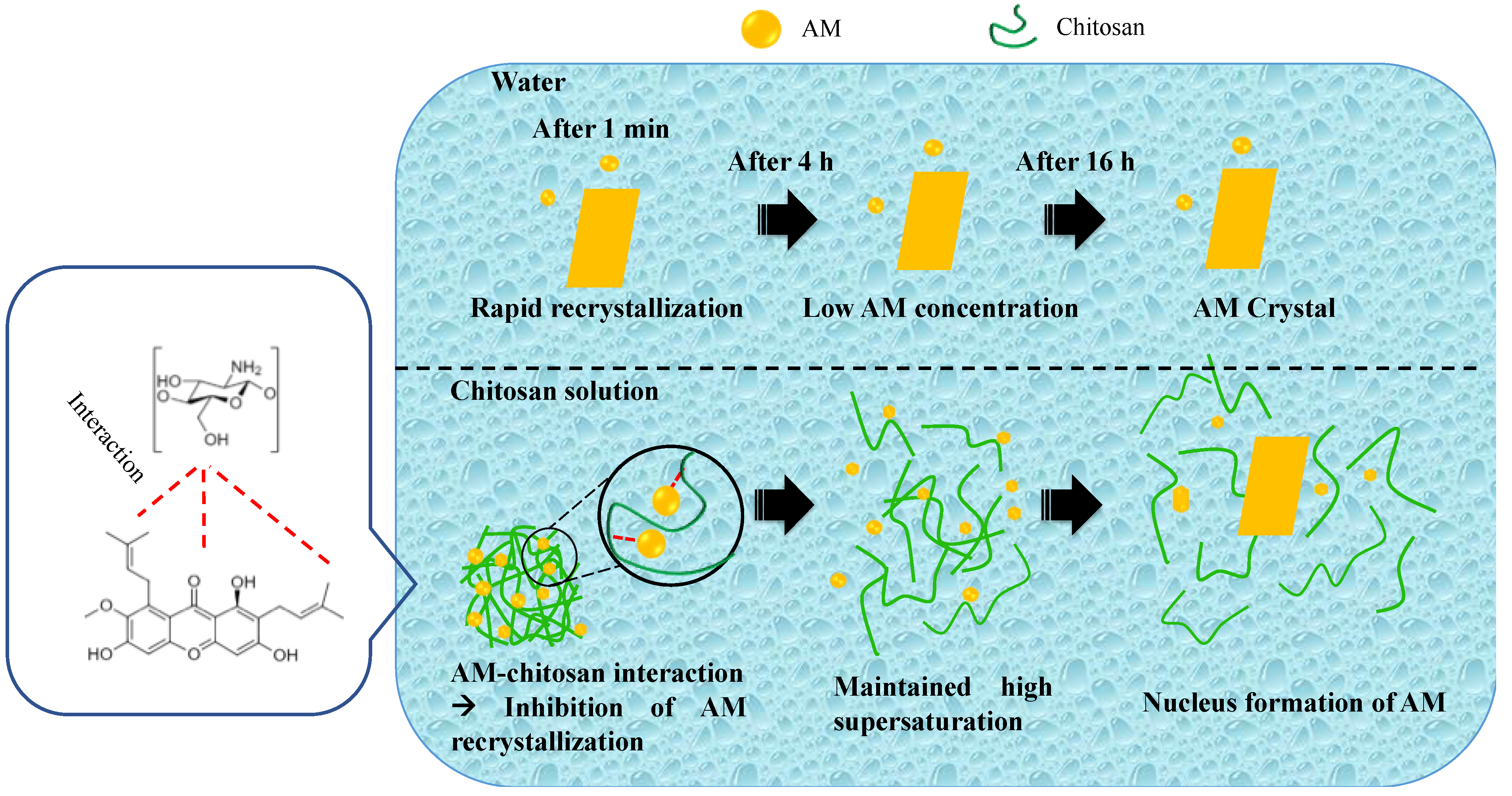 Polymers 14 04370 g010