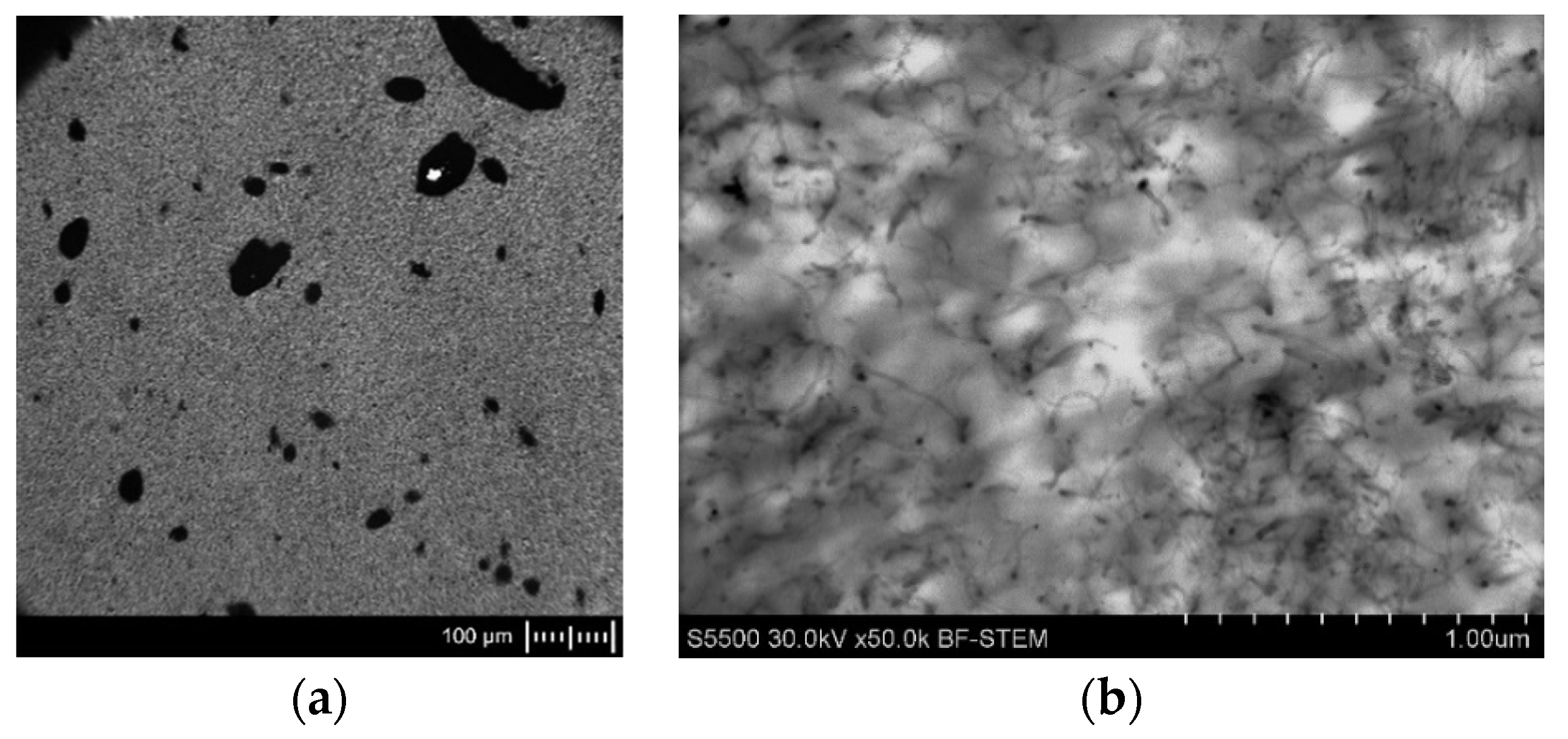 Polymers 14 04371 g002a