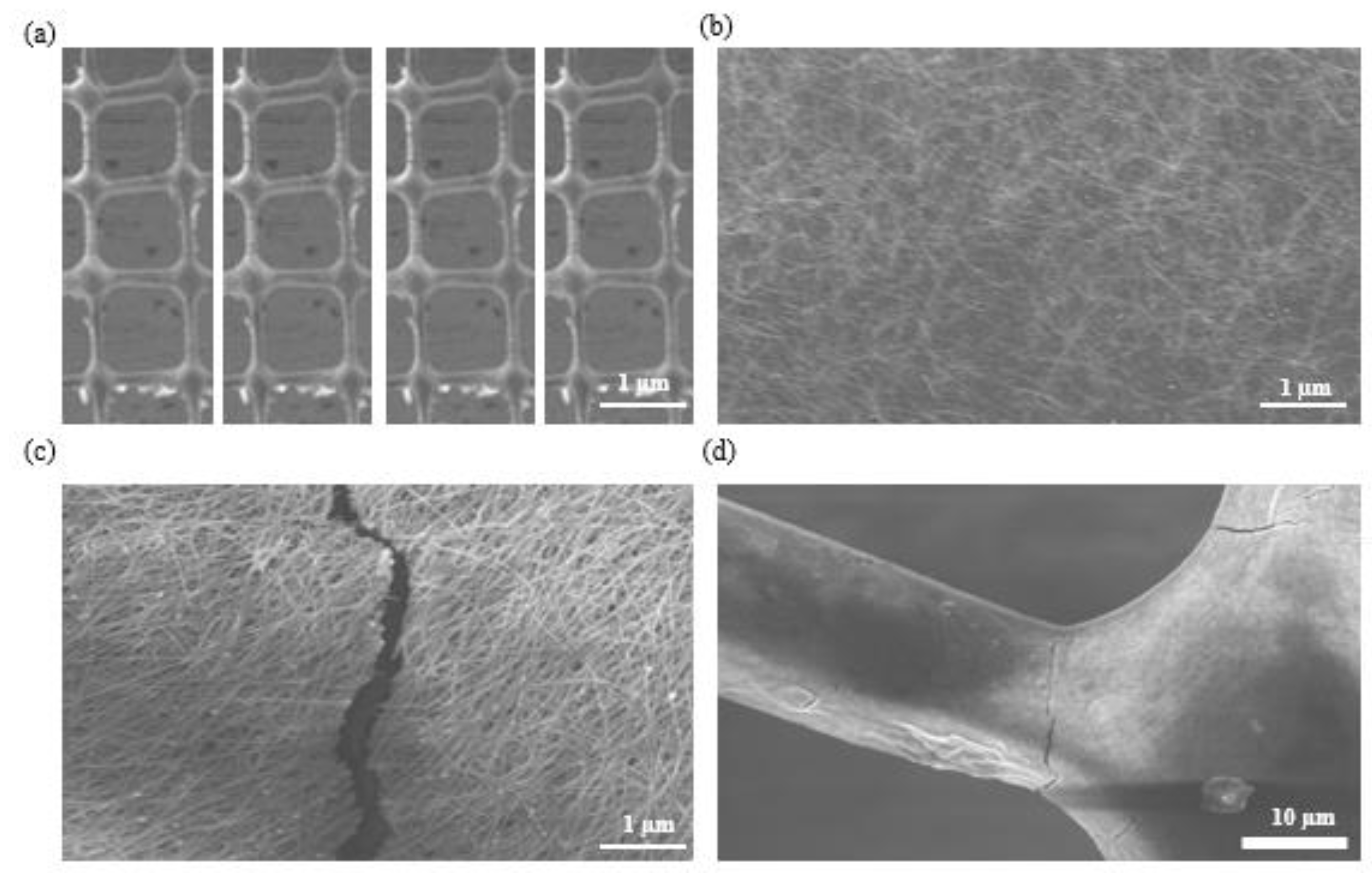 Polymers 14 04373 g003