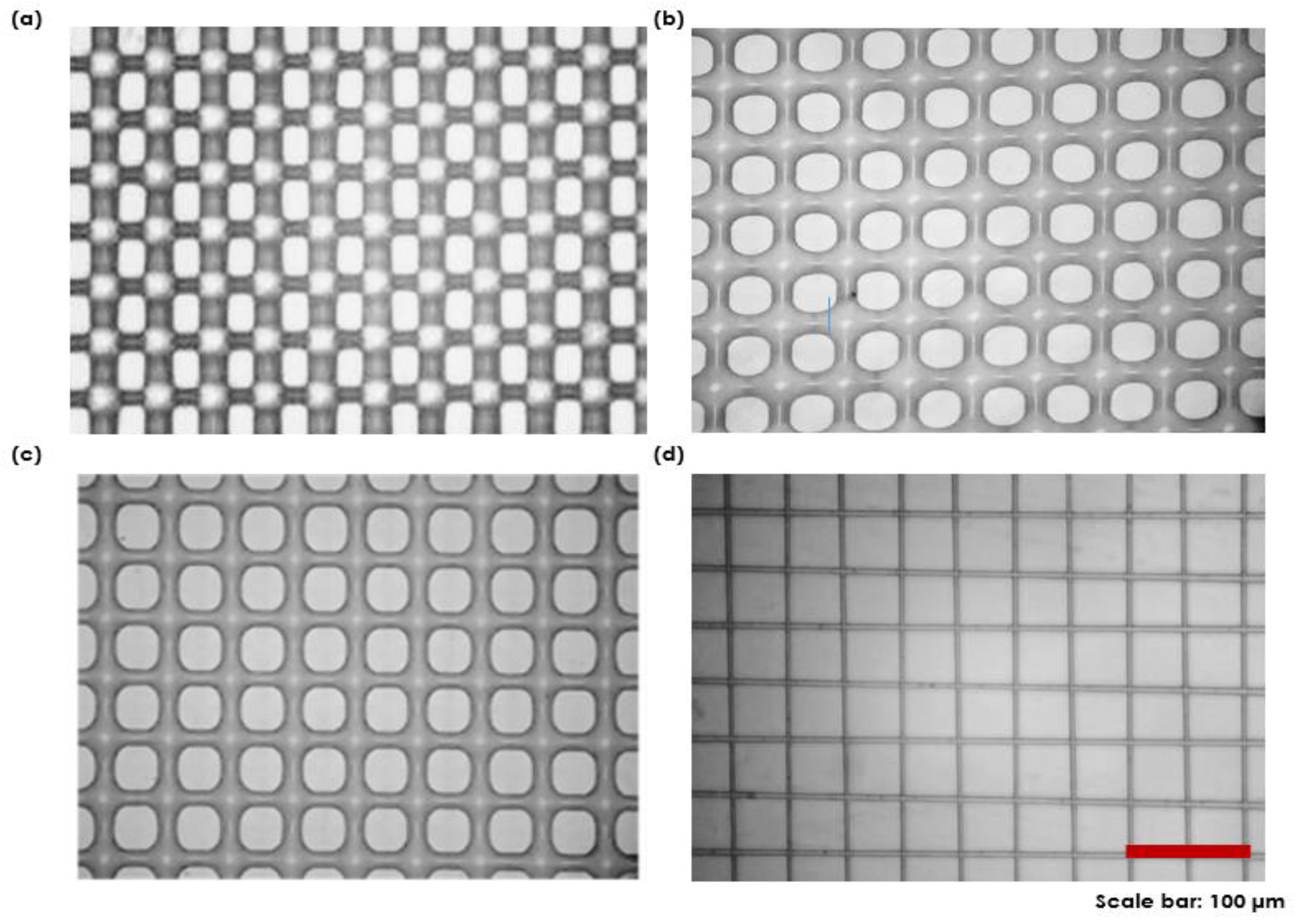 Polymers 14 04373 g005