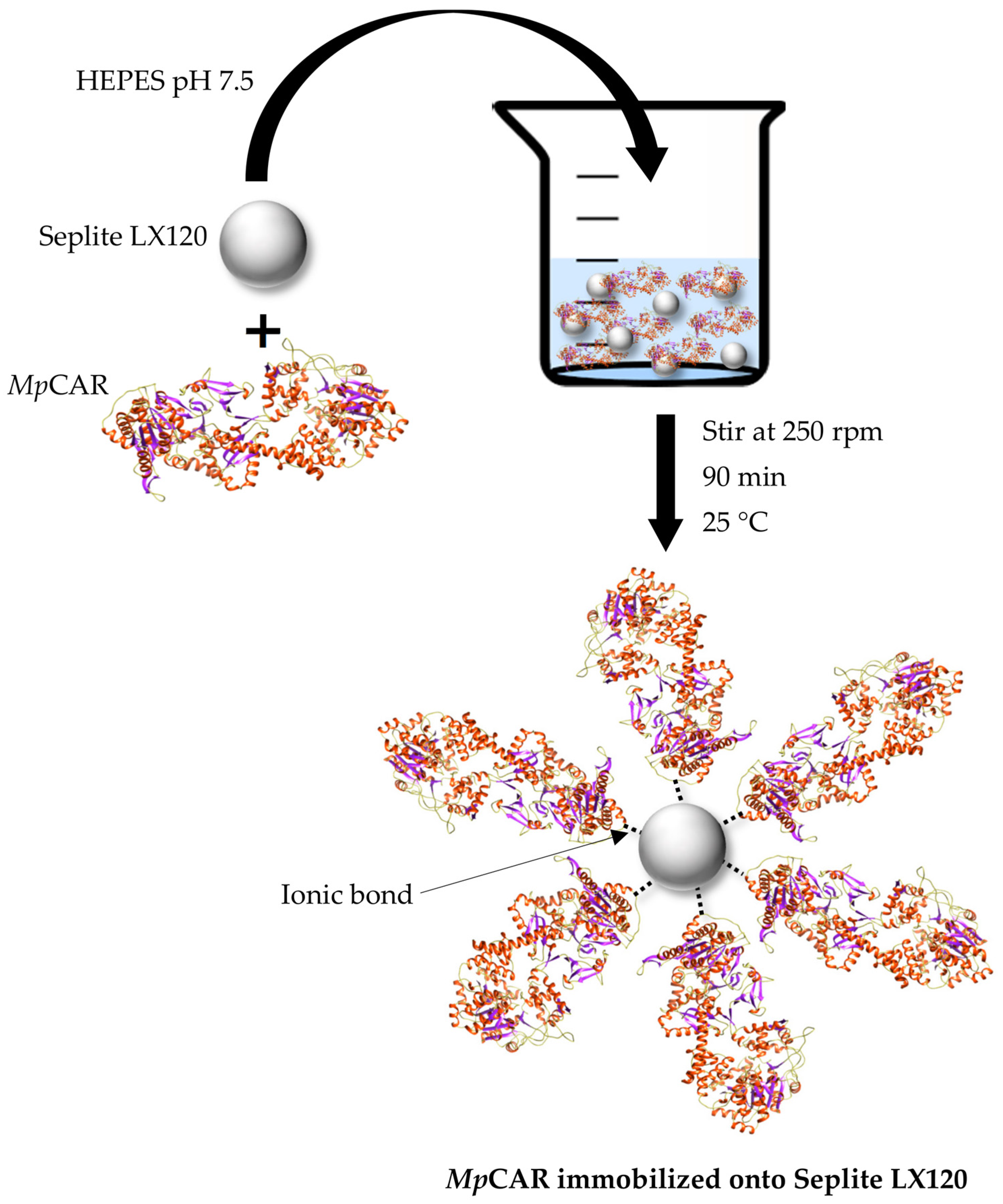 Polymers 14 04375 g002
