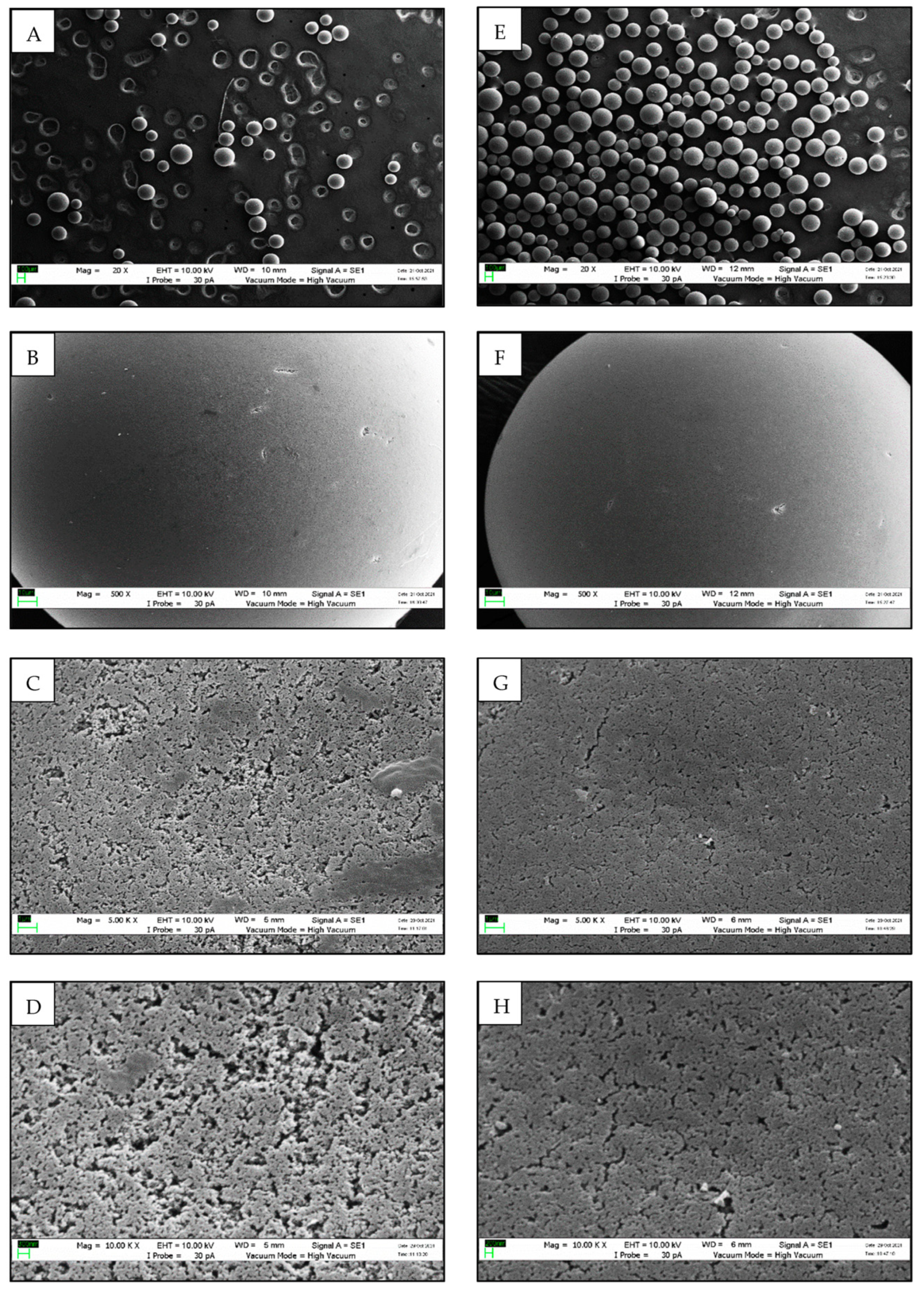 Polymers 14 04375 g006