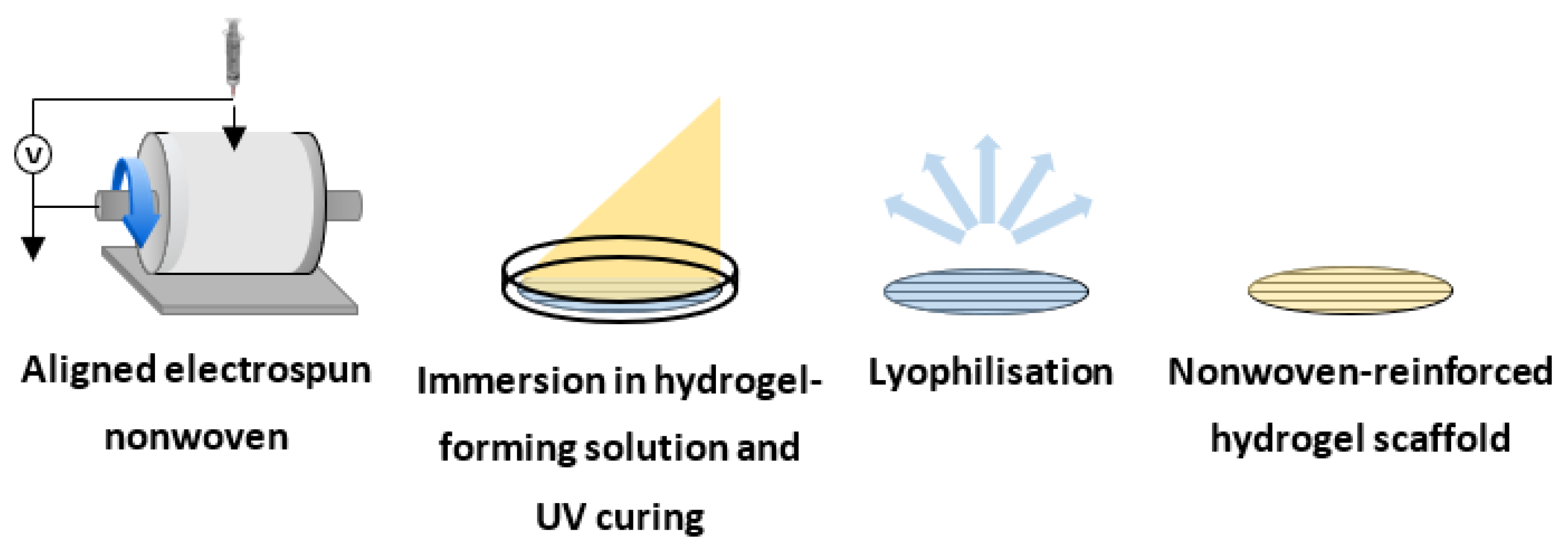 Polymers 14 04376 g001