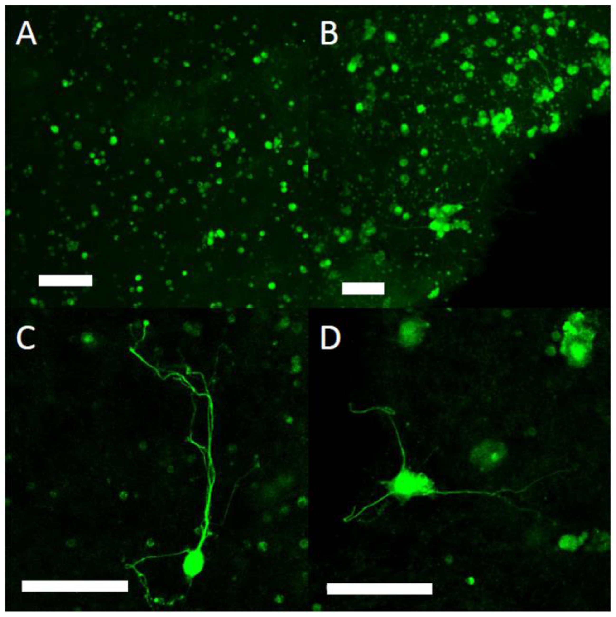 Polymers 14 04376 g007