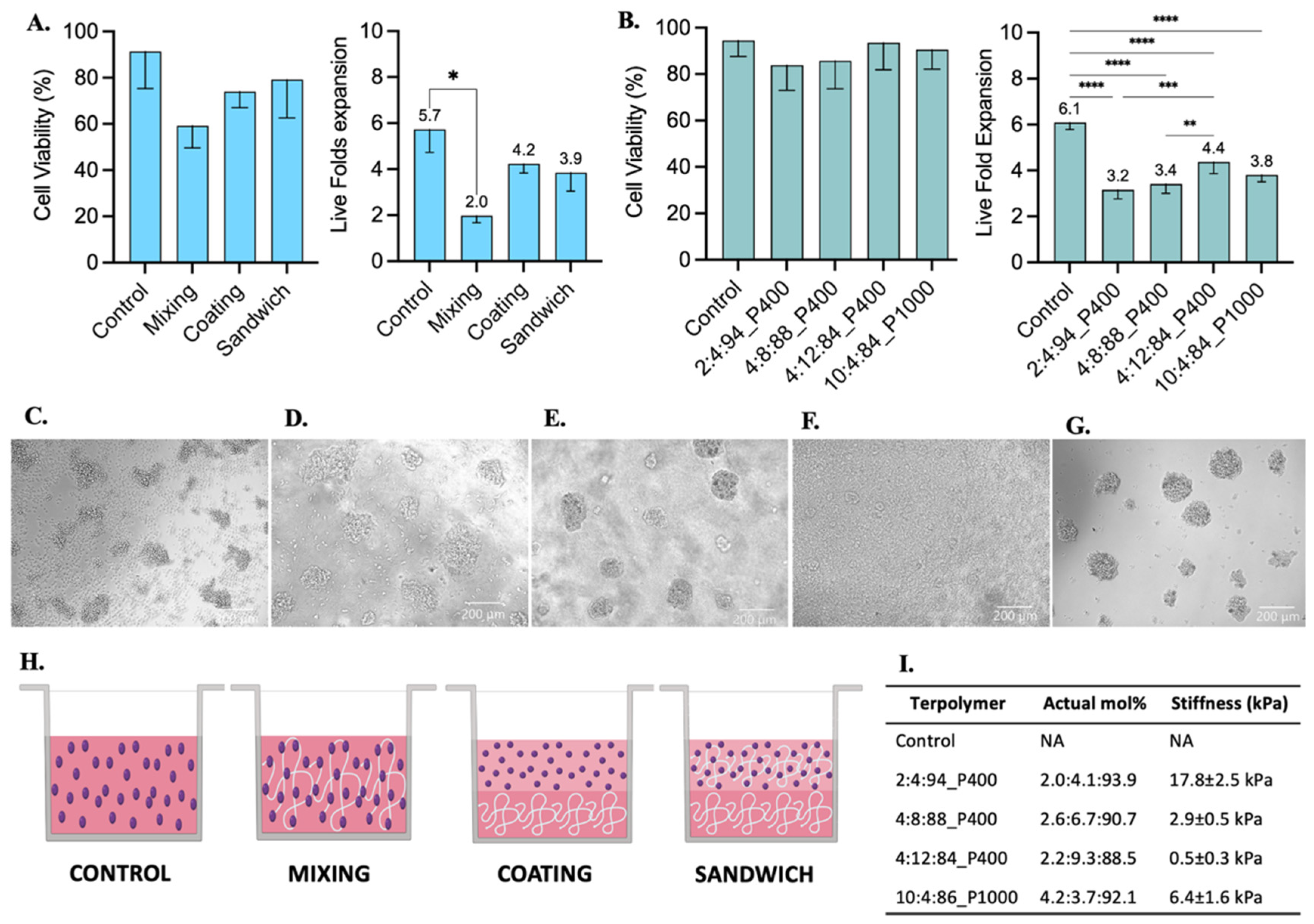 Polymers 14 04379 g006 Polymers 14 04379 g006
