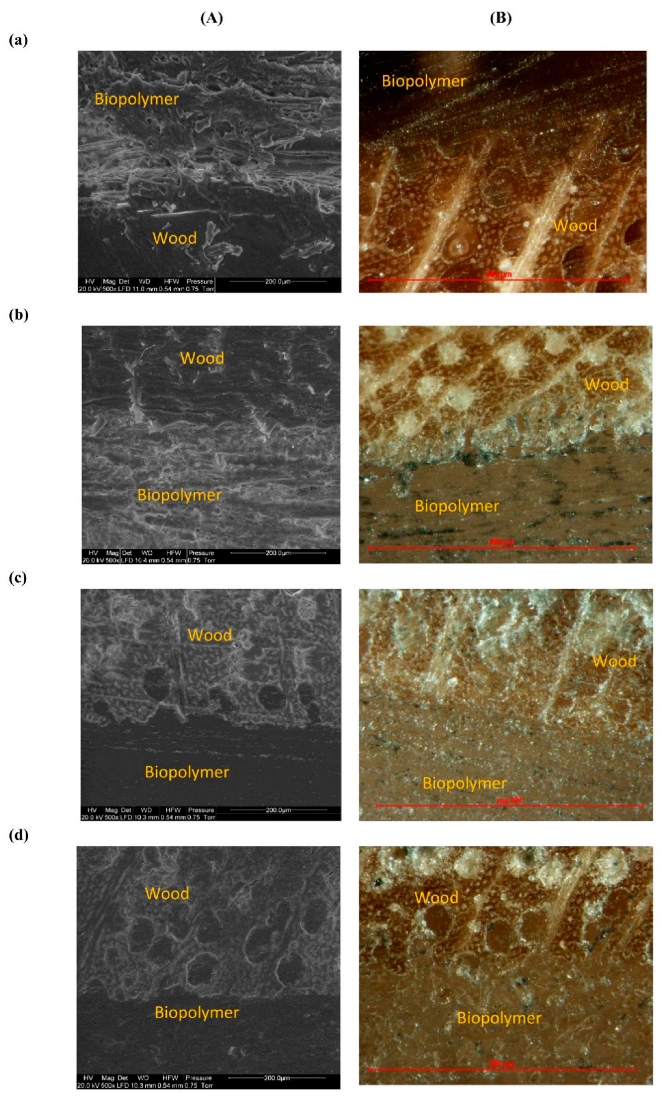 Polymers 14 04393 g008a