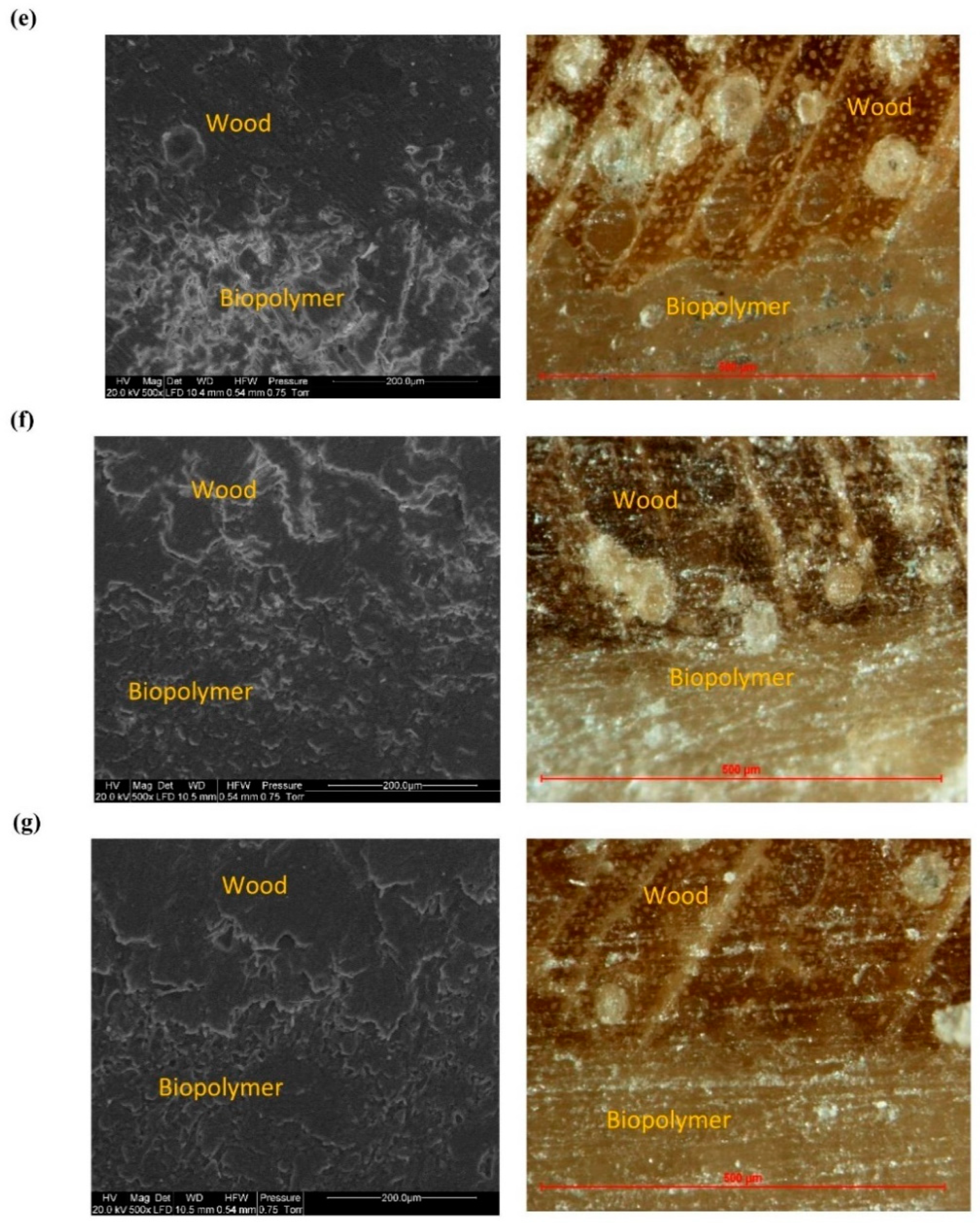 Polymers 14 04393 g008b