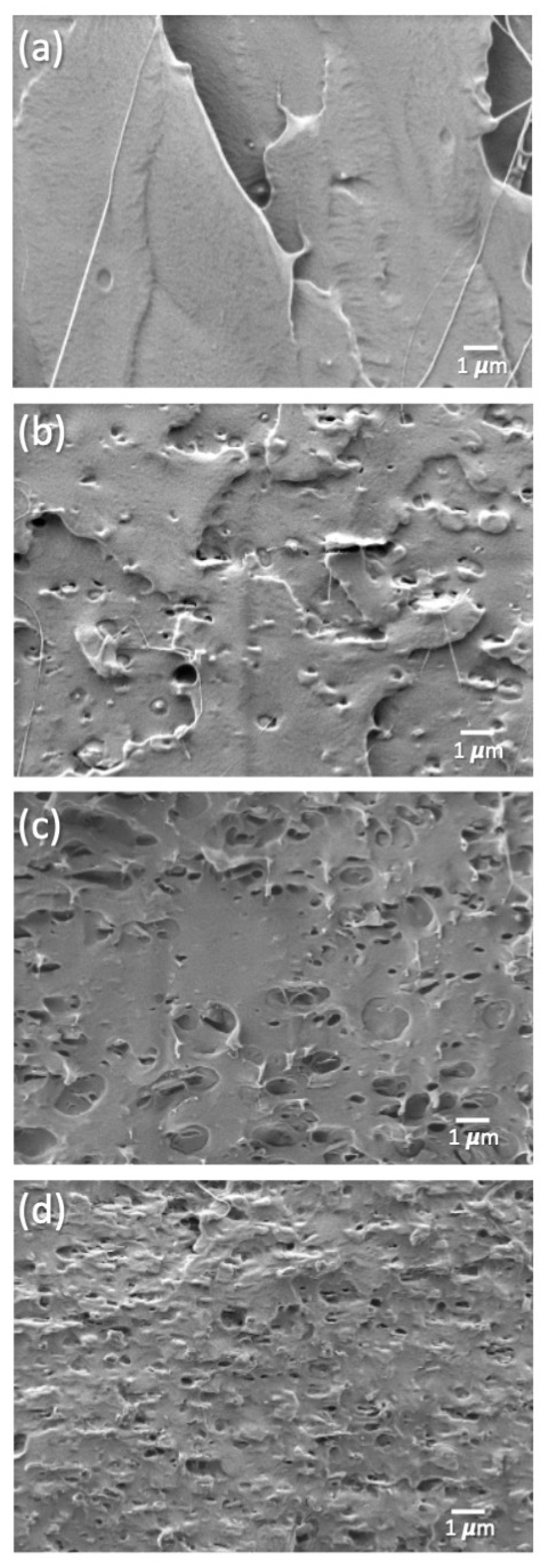 Polymers 14 04394 g003