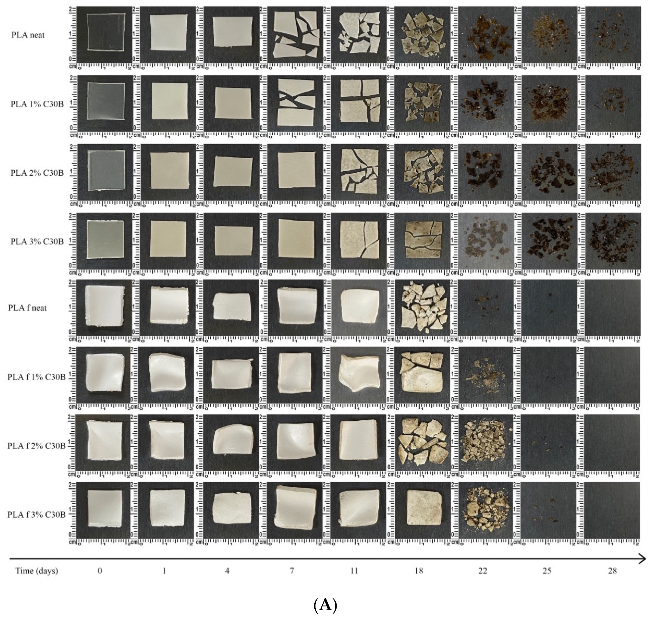 Polymers 14 04394 g014a