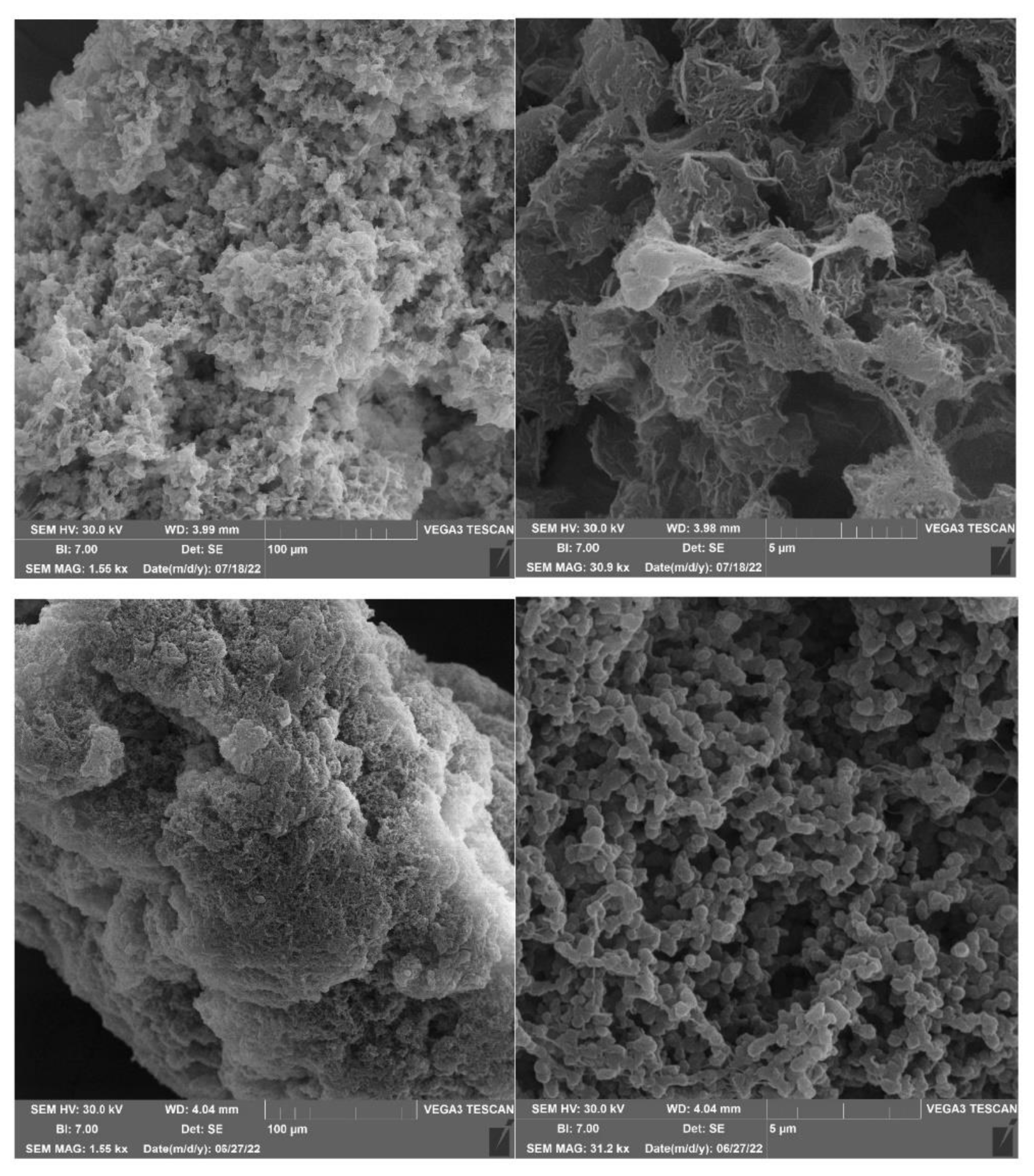 Polymers 14 04397 g005