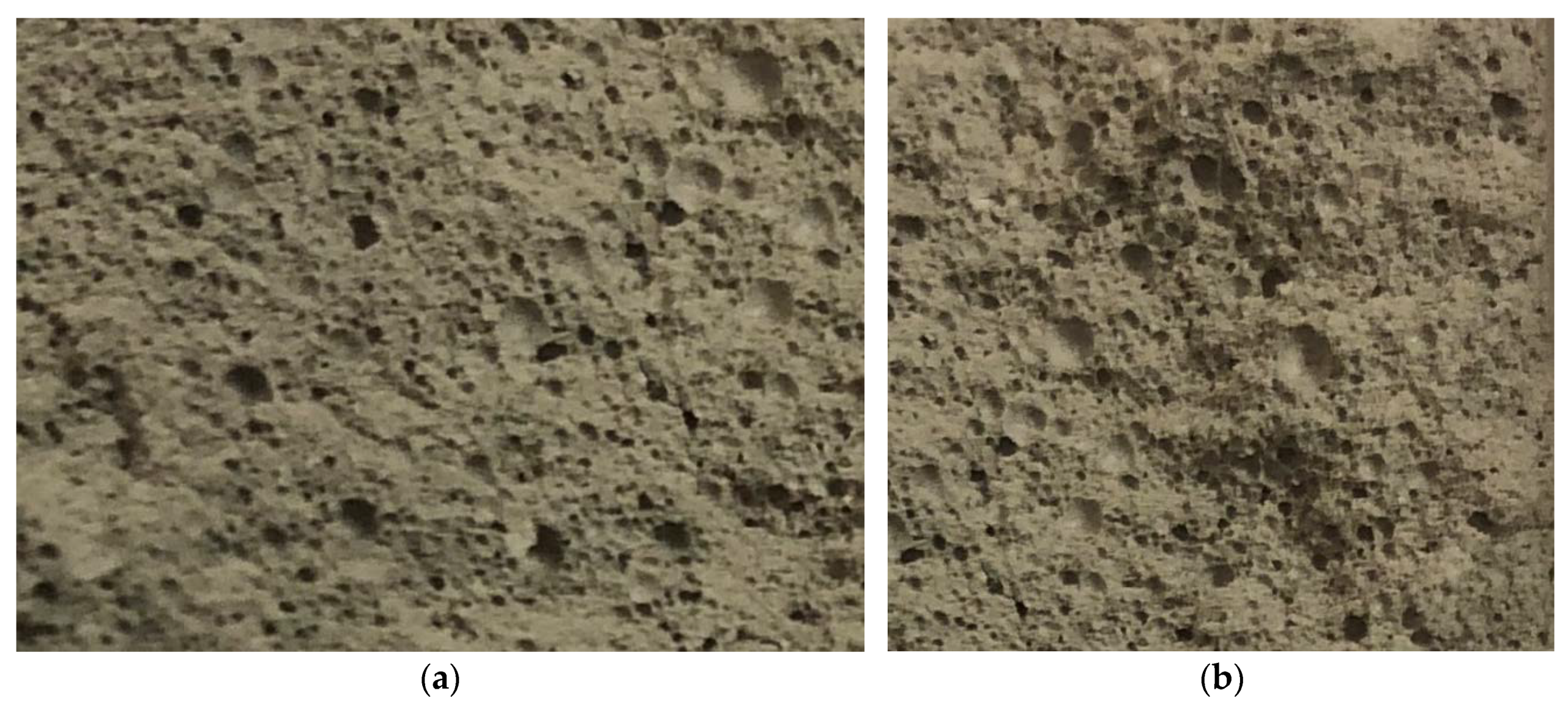 Polymers 14 04401 g014