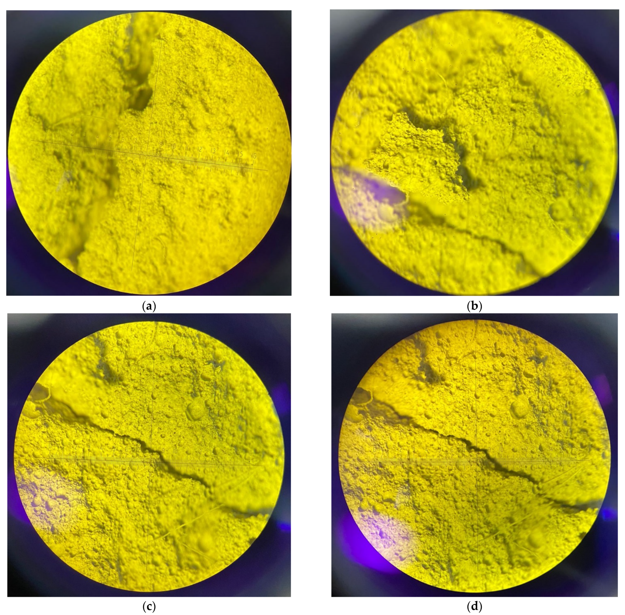 Polymers 14 04401 g015