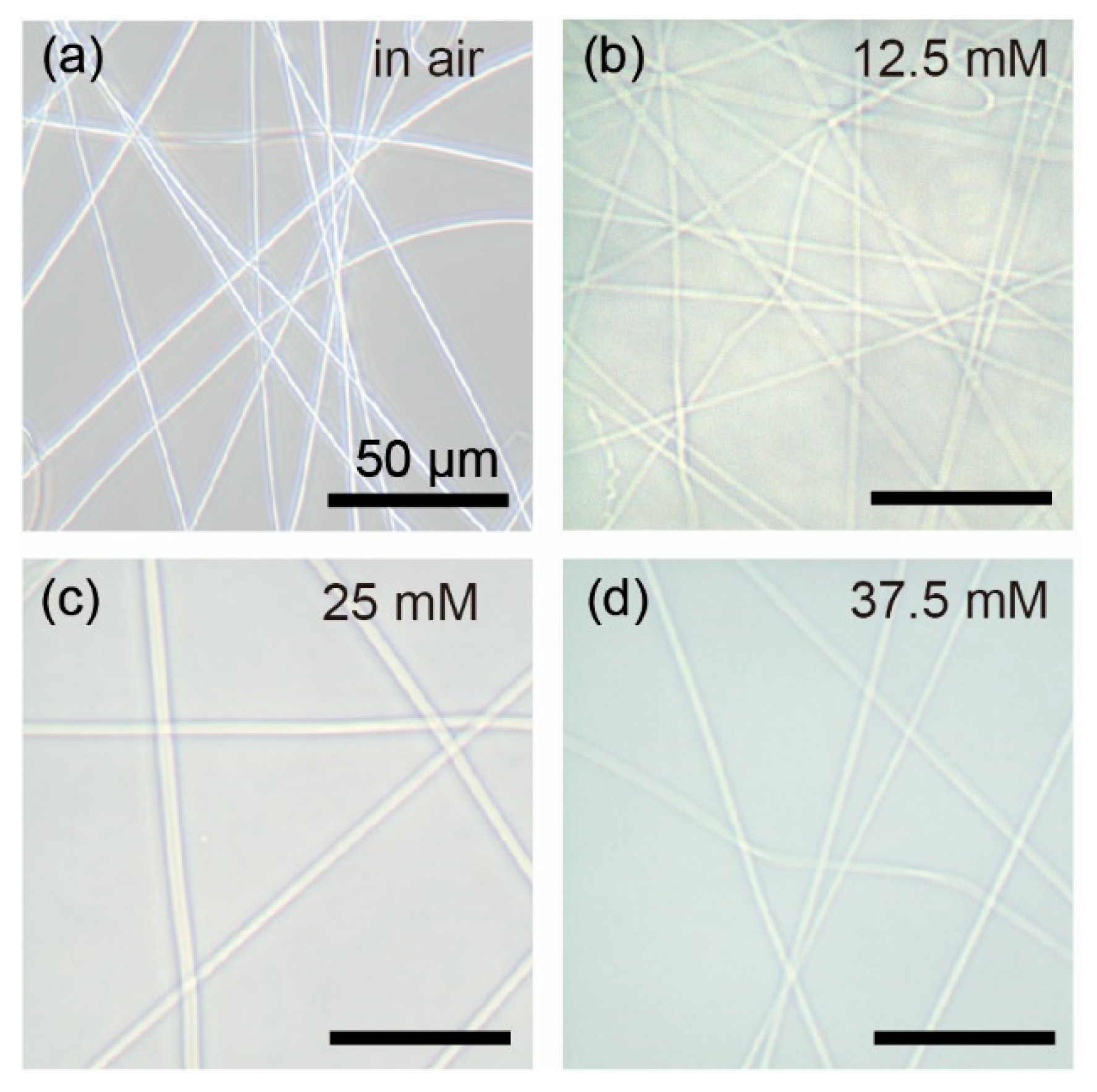 Polymers 14 04407 g003