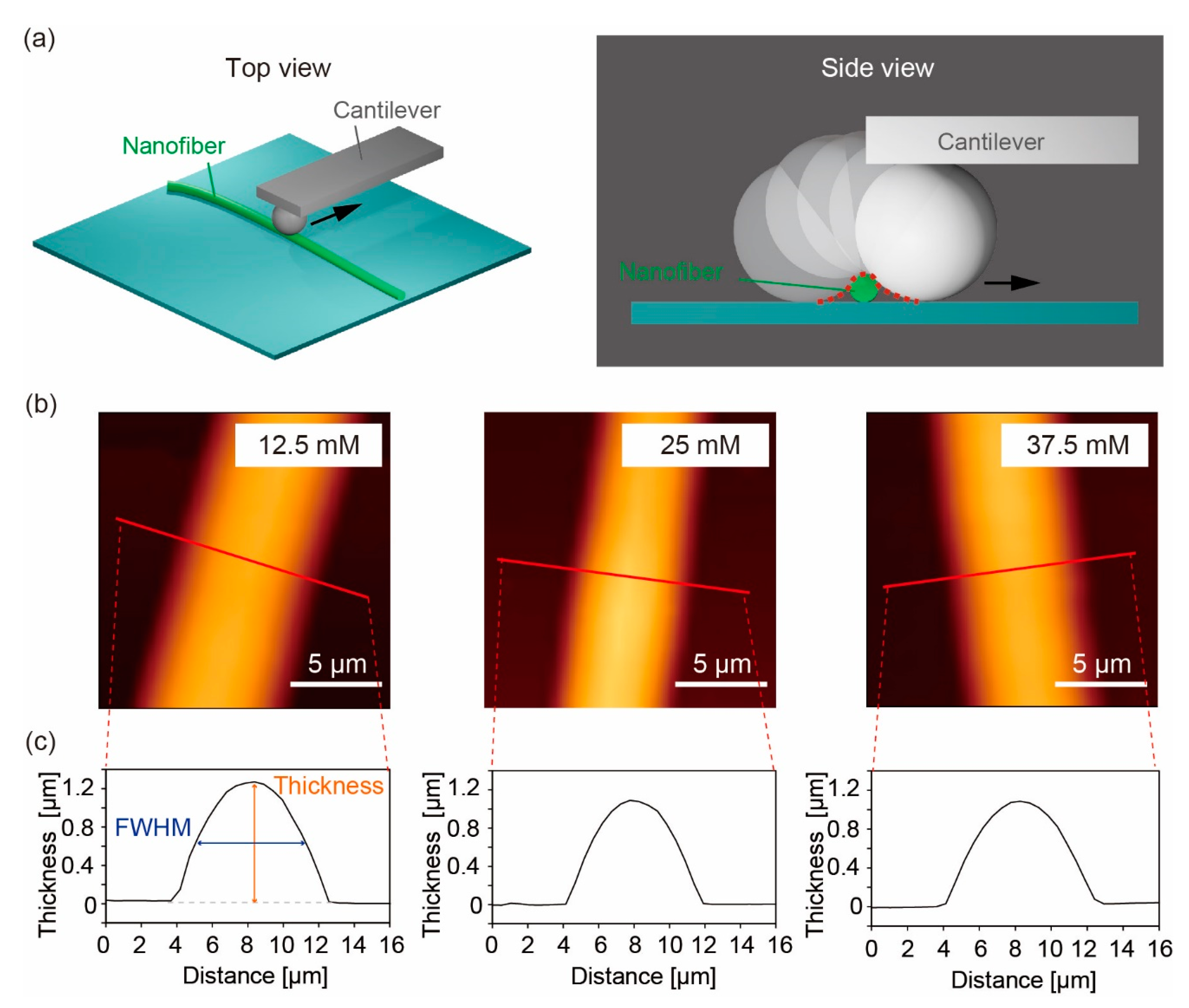 Polymers 14 04407 g004