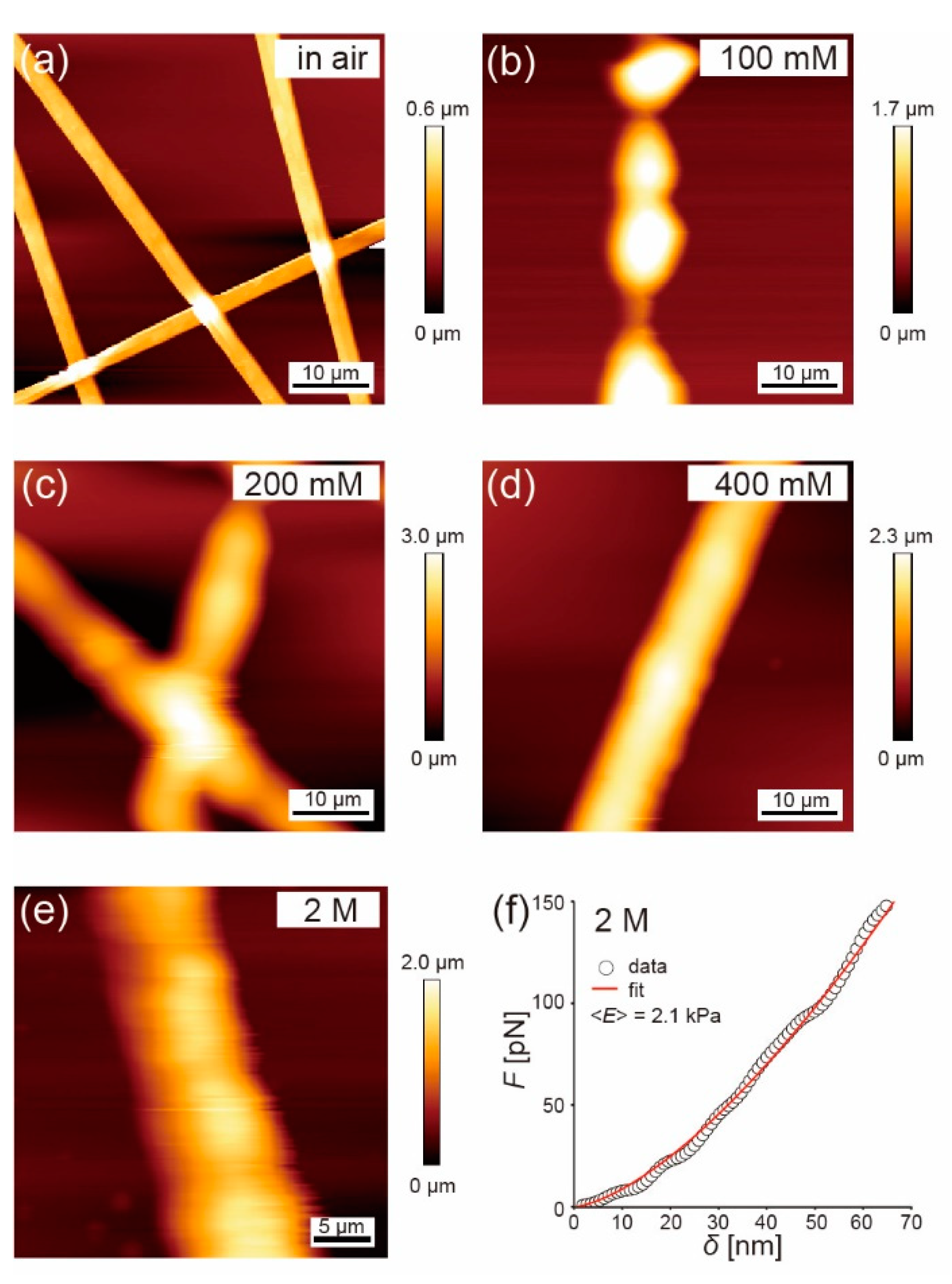 Polymers 14 04407 g006
