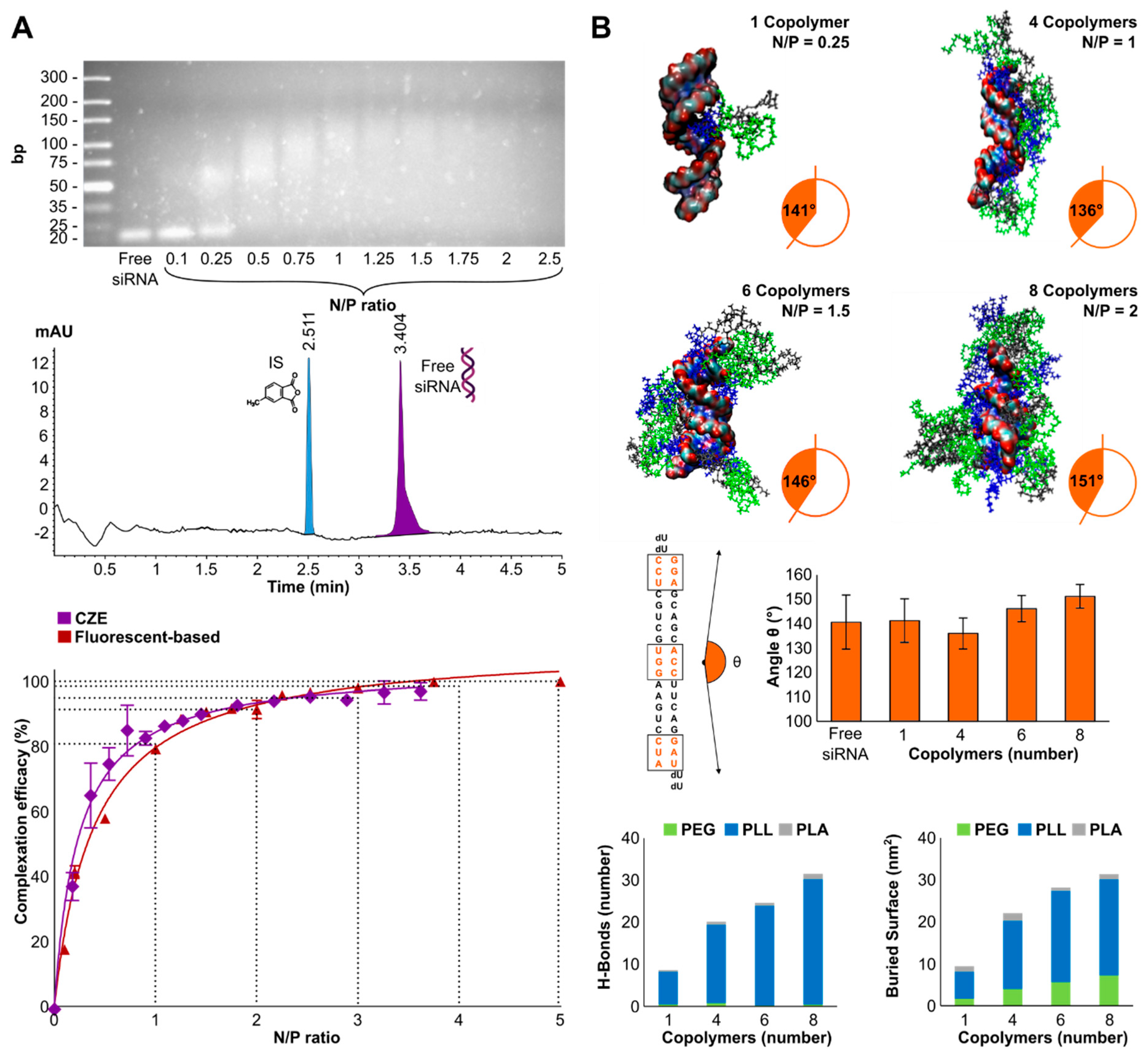 Polymers 14 04409 g002