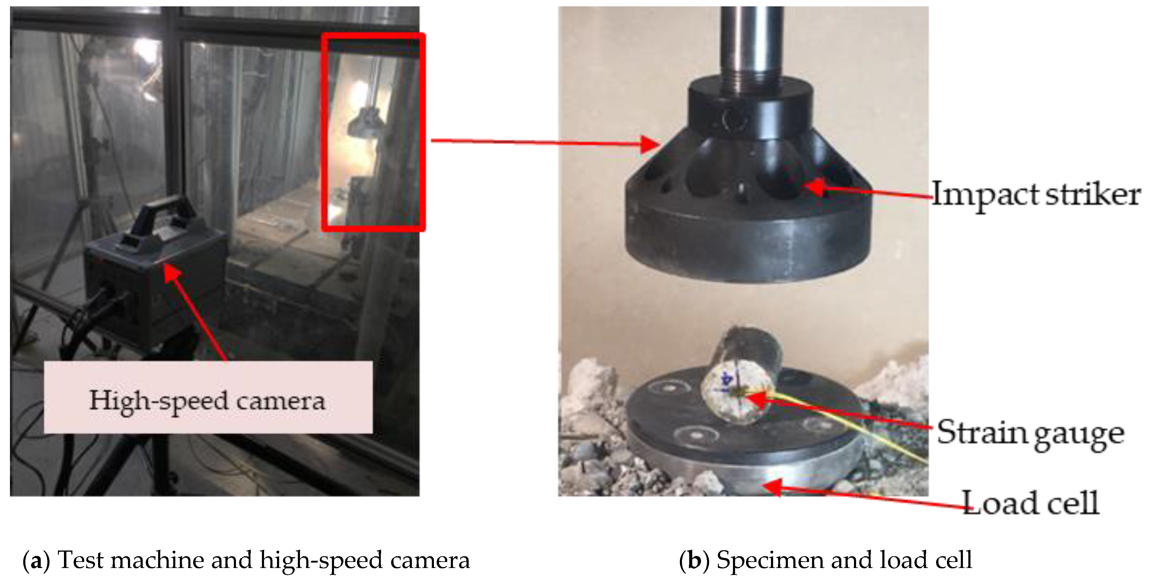 Polymers 14 04424 g005