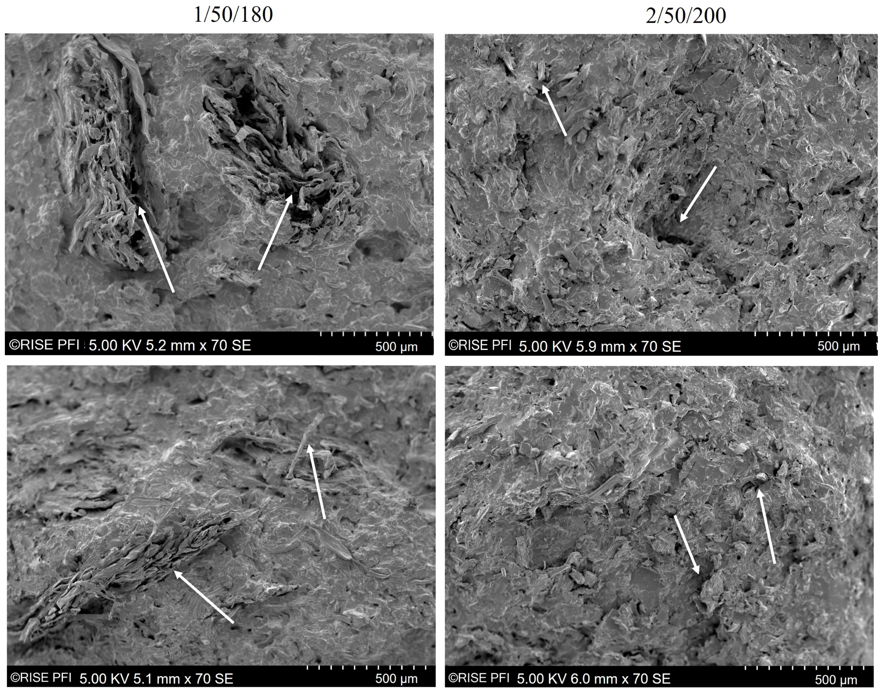 Polymers 14 04432 g007