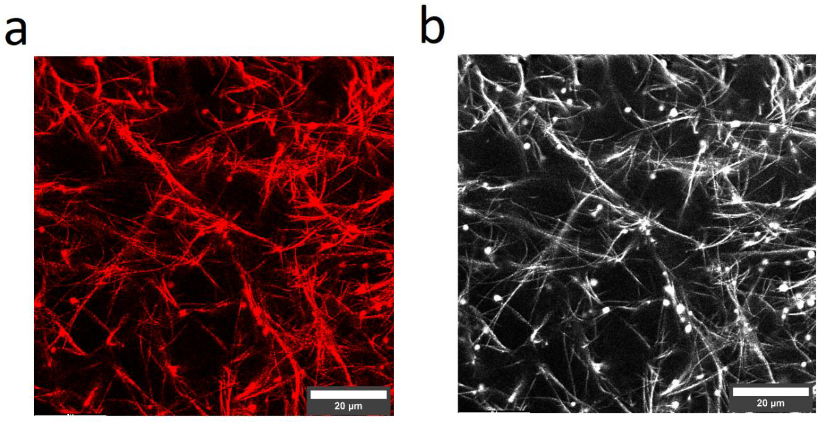Polymers 14 04434 g005