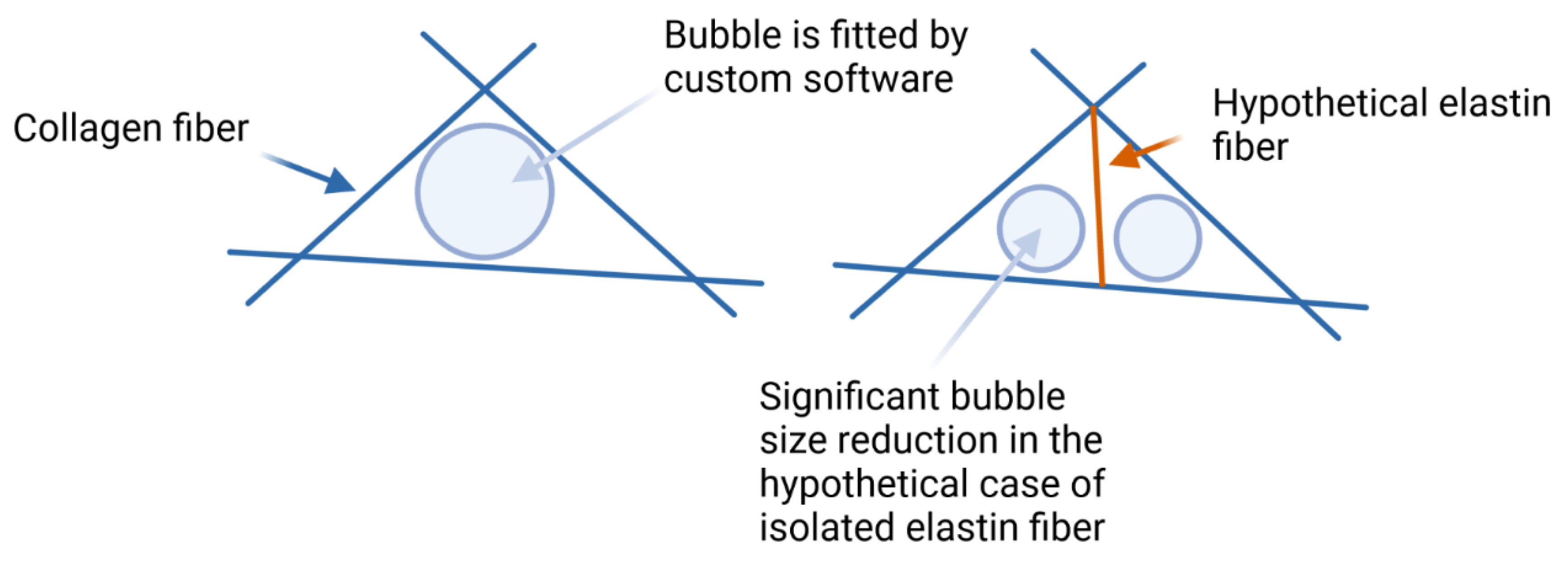 Polymers 14 04434 g007