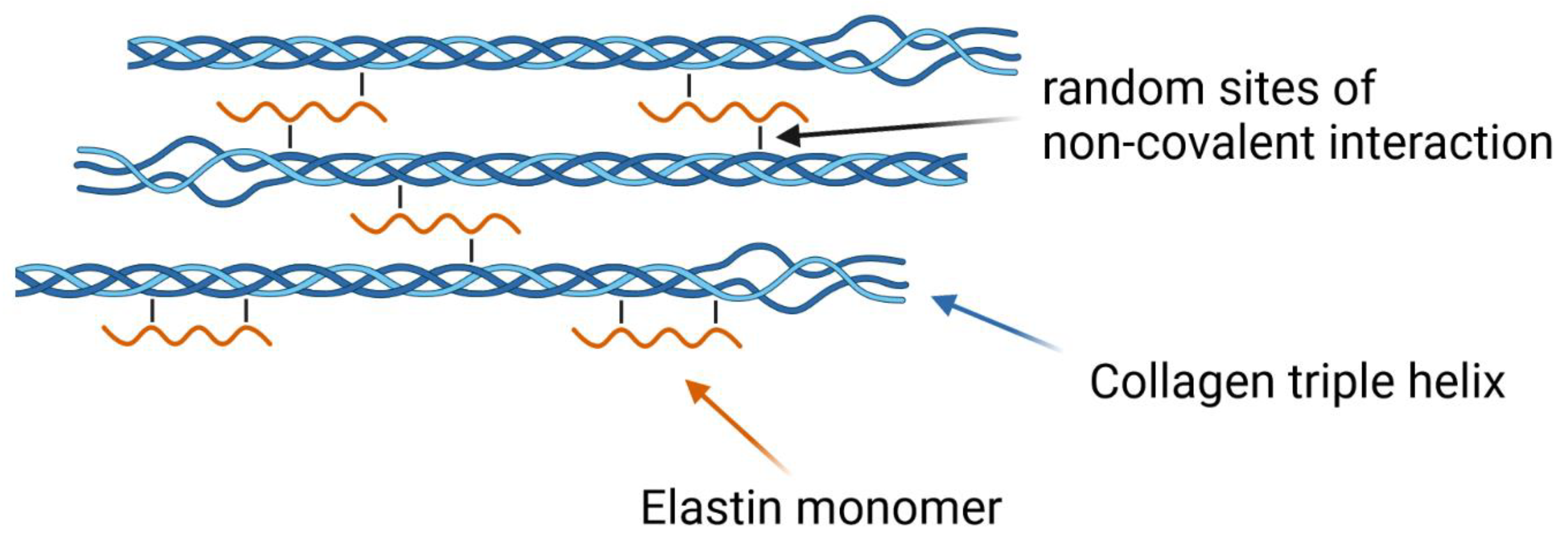 Polymers 14 04434 g008