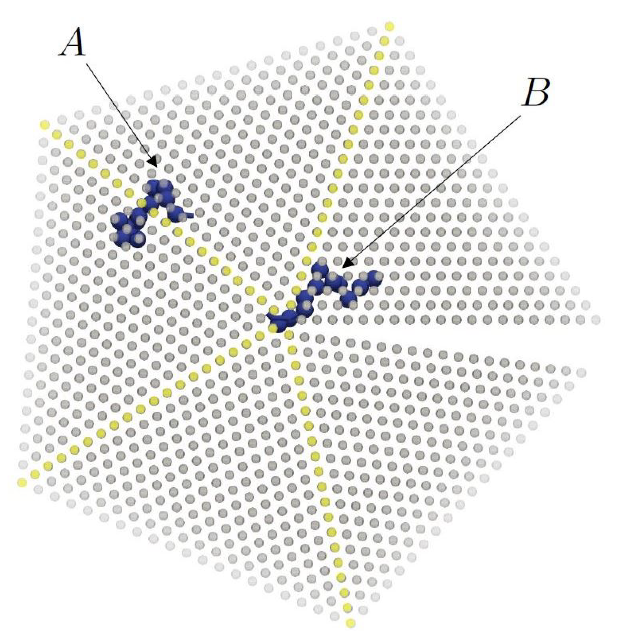 Polymers 14 04435 g006