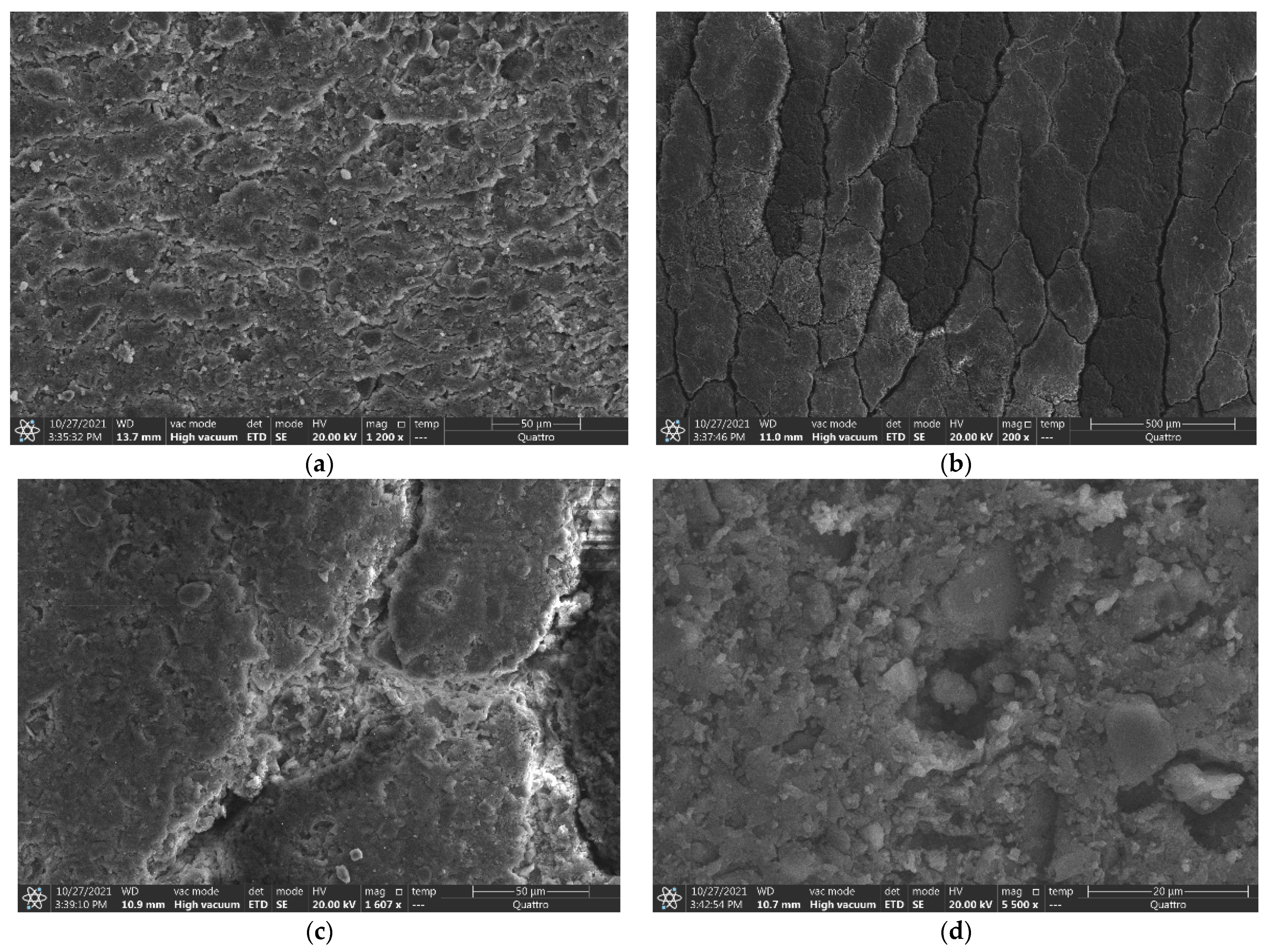 Polymers 14 04439 g014