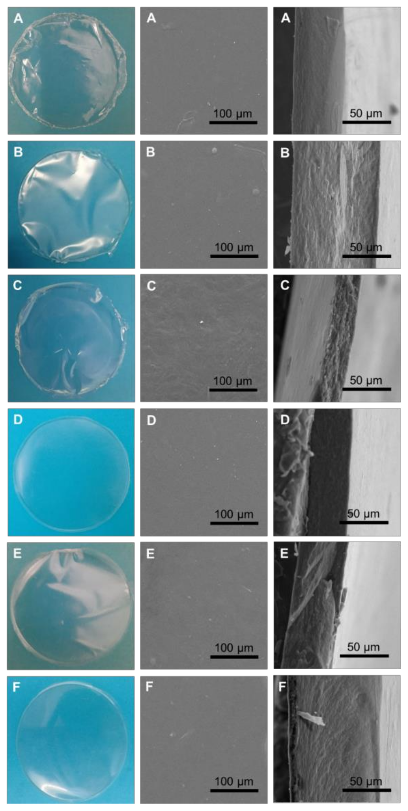 Polymers 14 04442 g002
