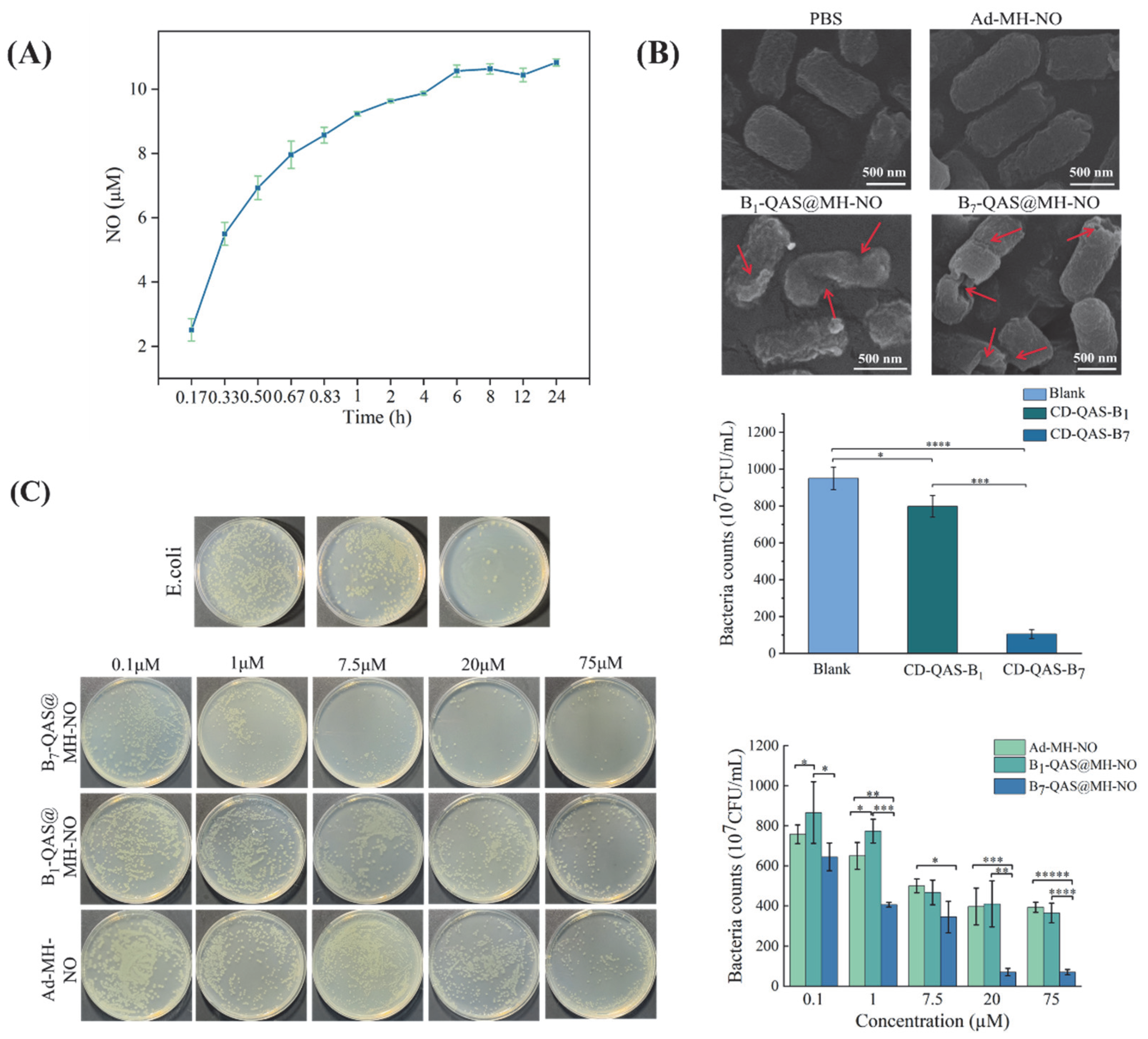 Polymers 14 04451 g006