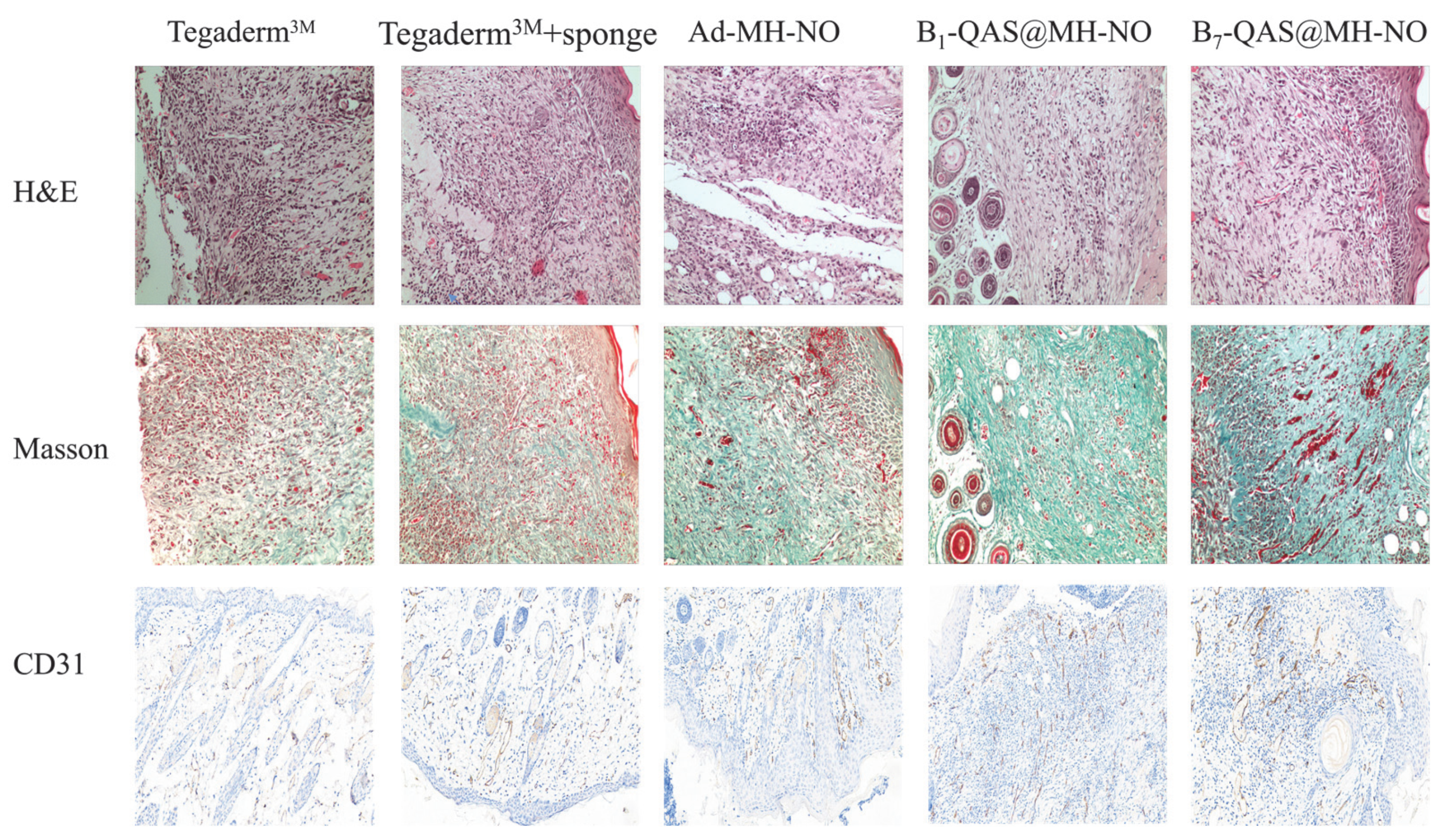 Polymers 14 04451 g010