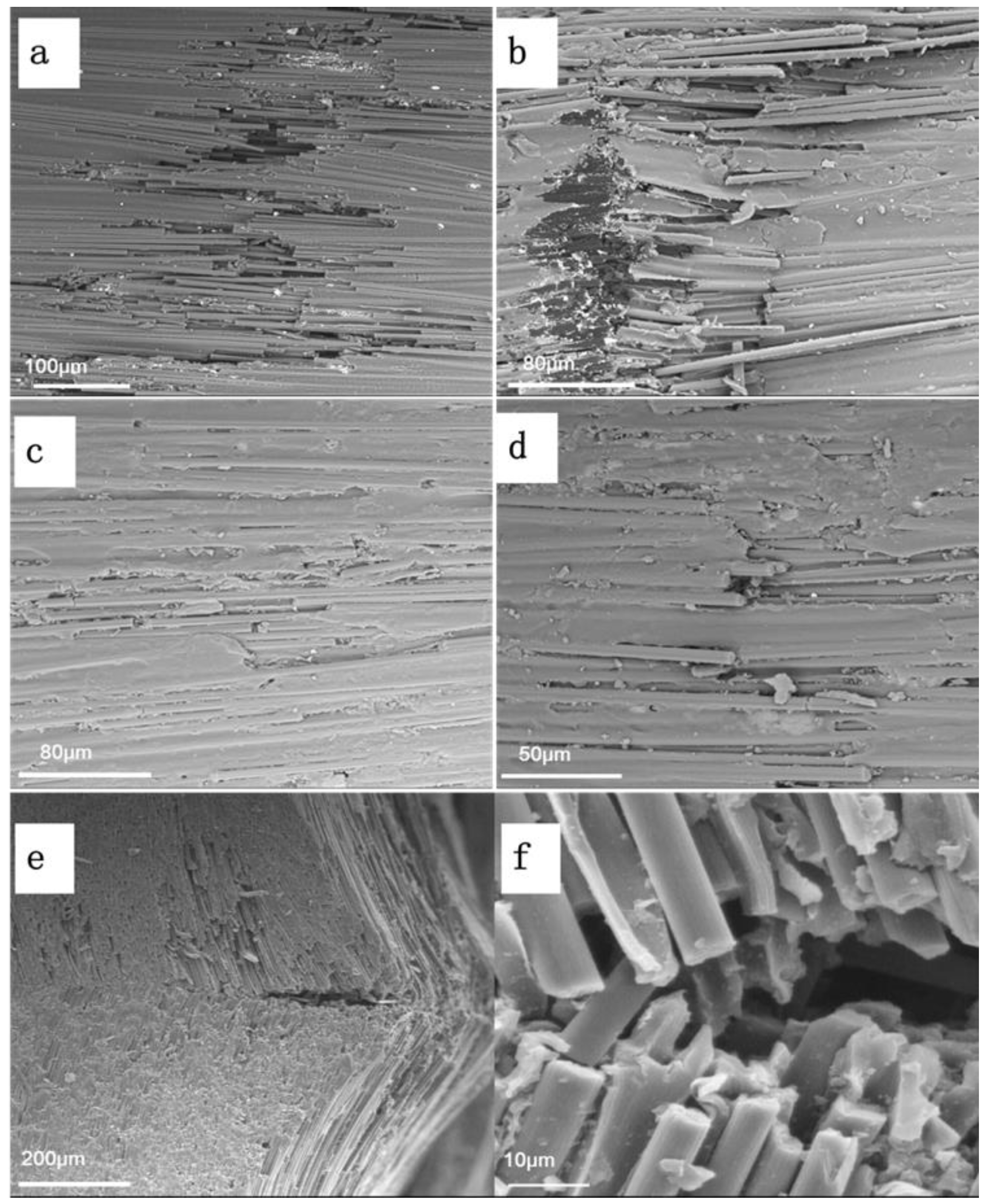 Polymers 14 04452 g006