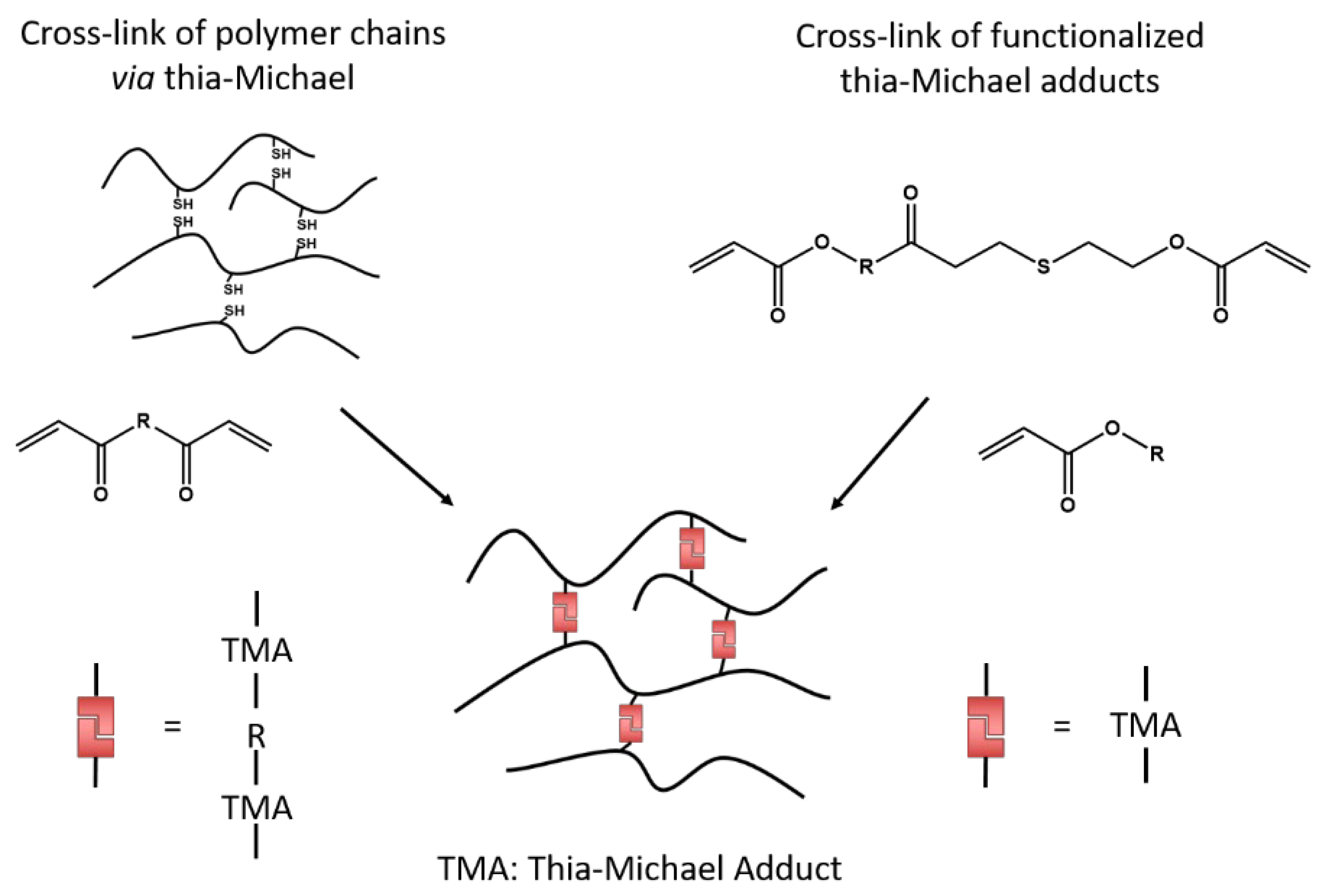 Polymers 14 04457 sch009