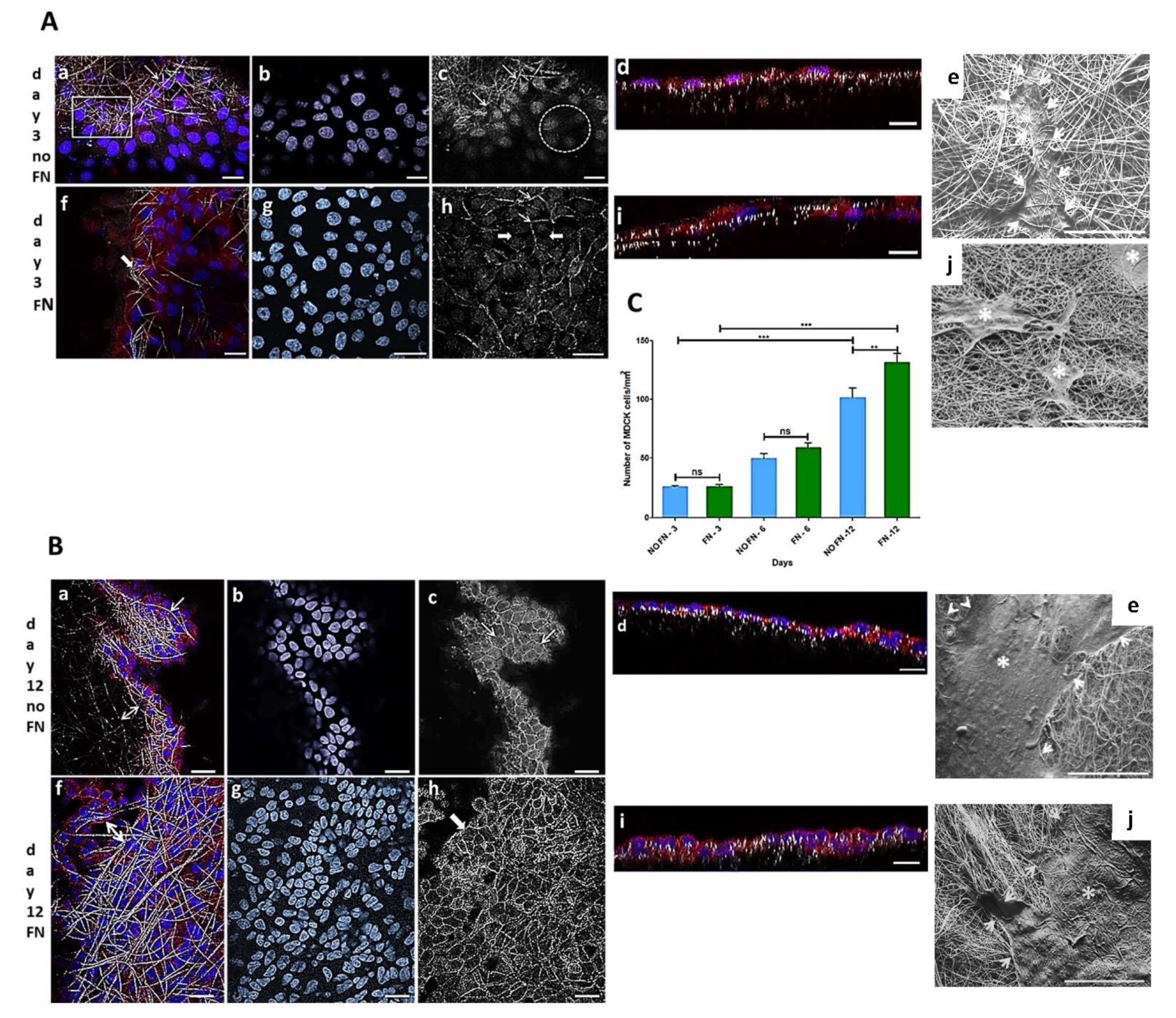 Polymers 14 04460 g001