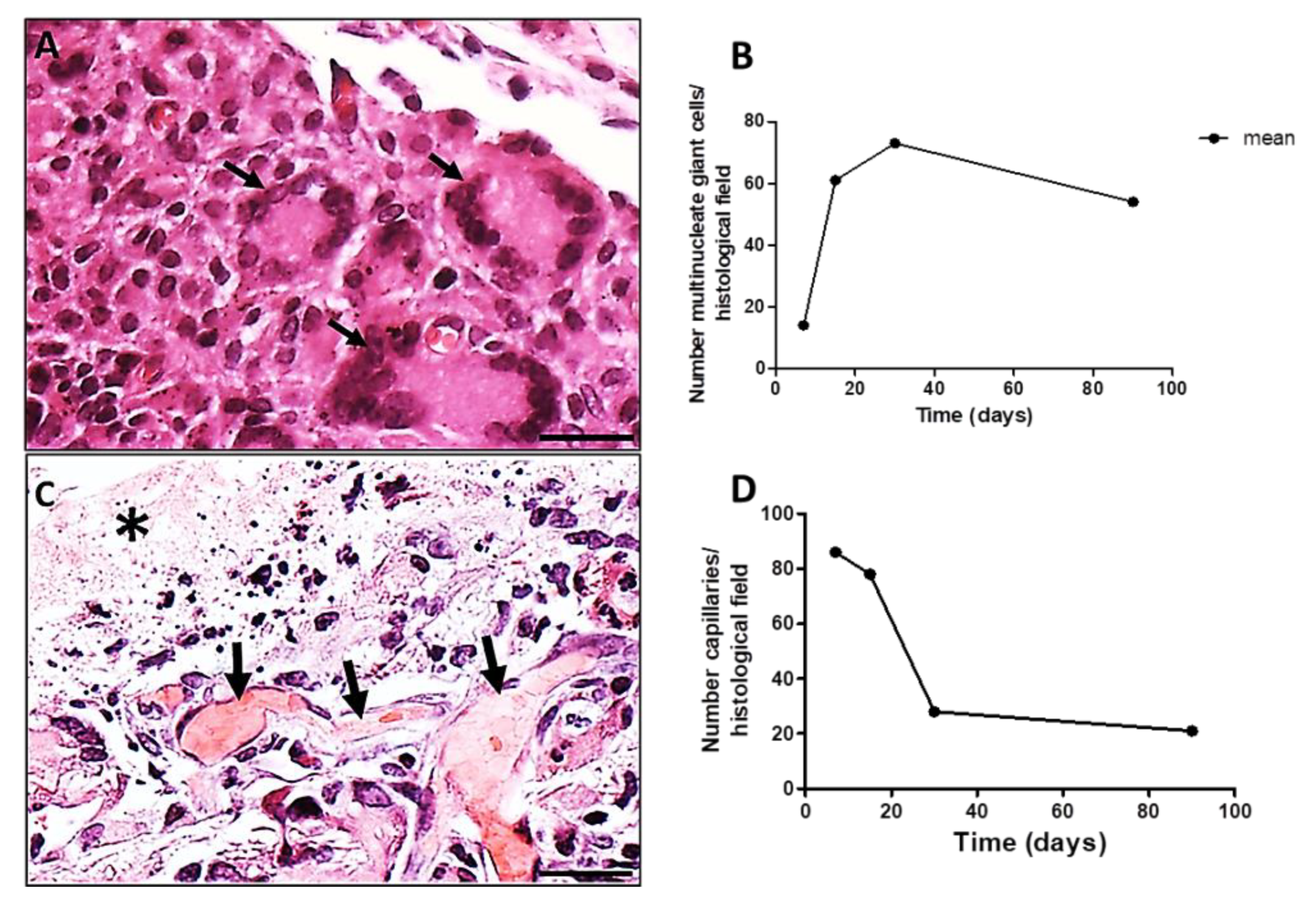 Polymers 14 04460 g004