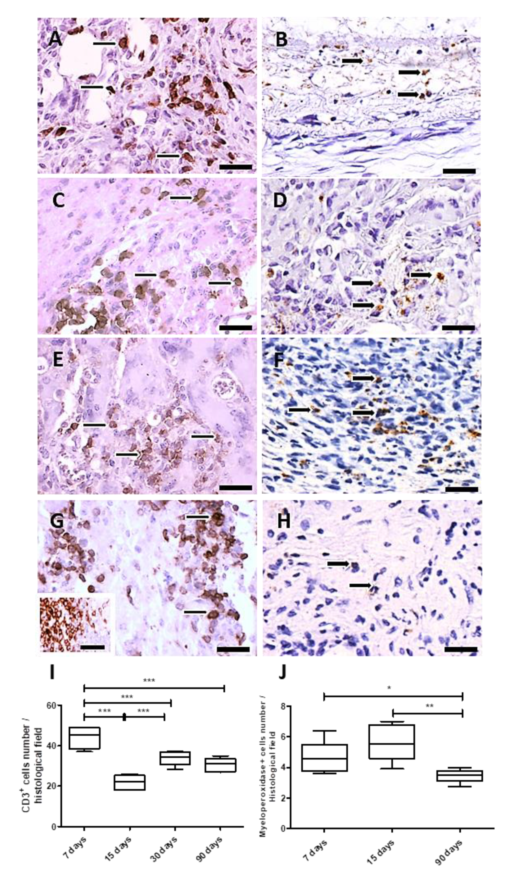 Polymers 14 04460 g005