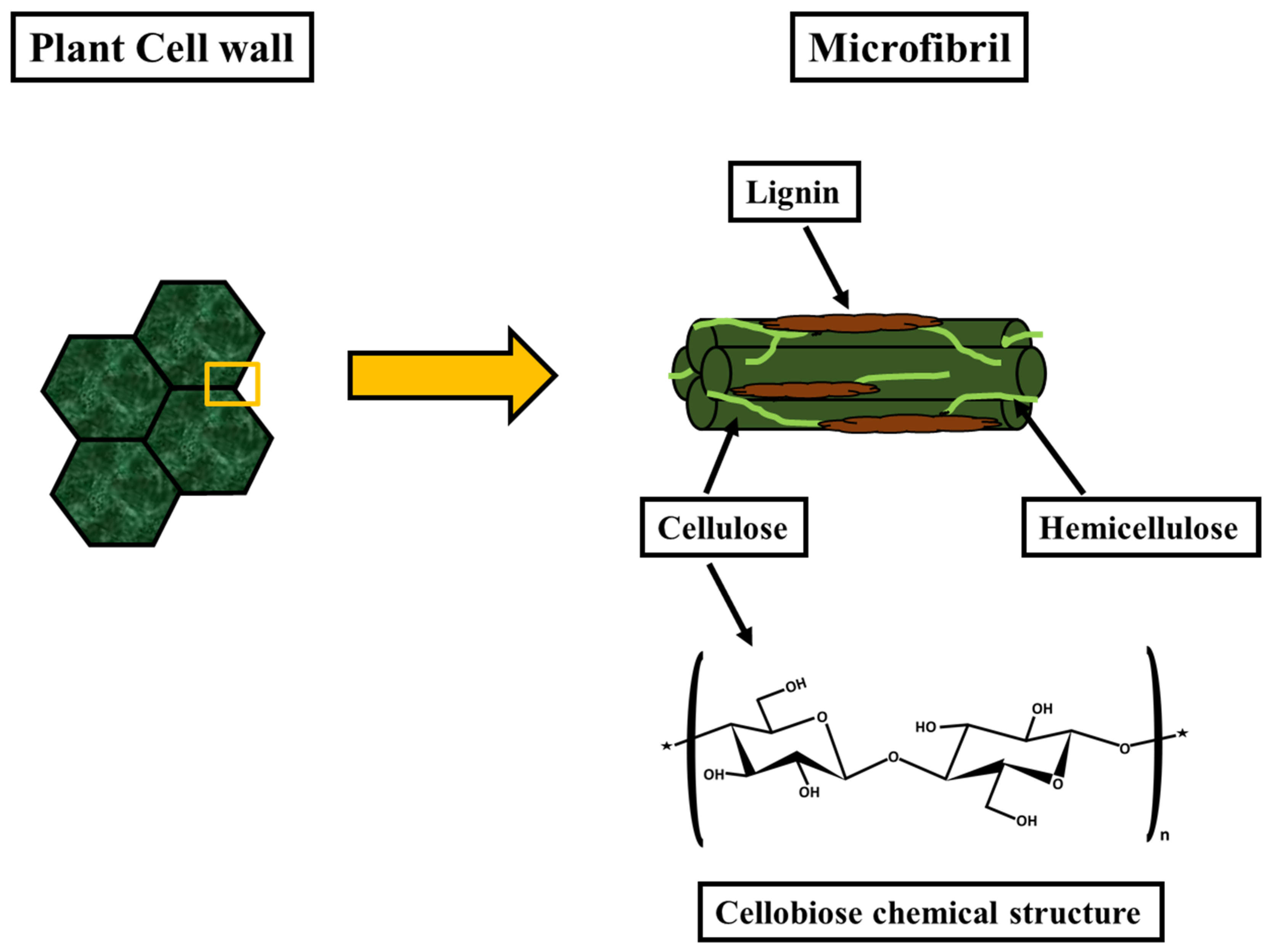 Polymers 14 04468 g001