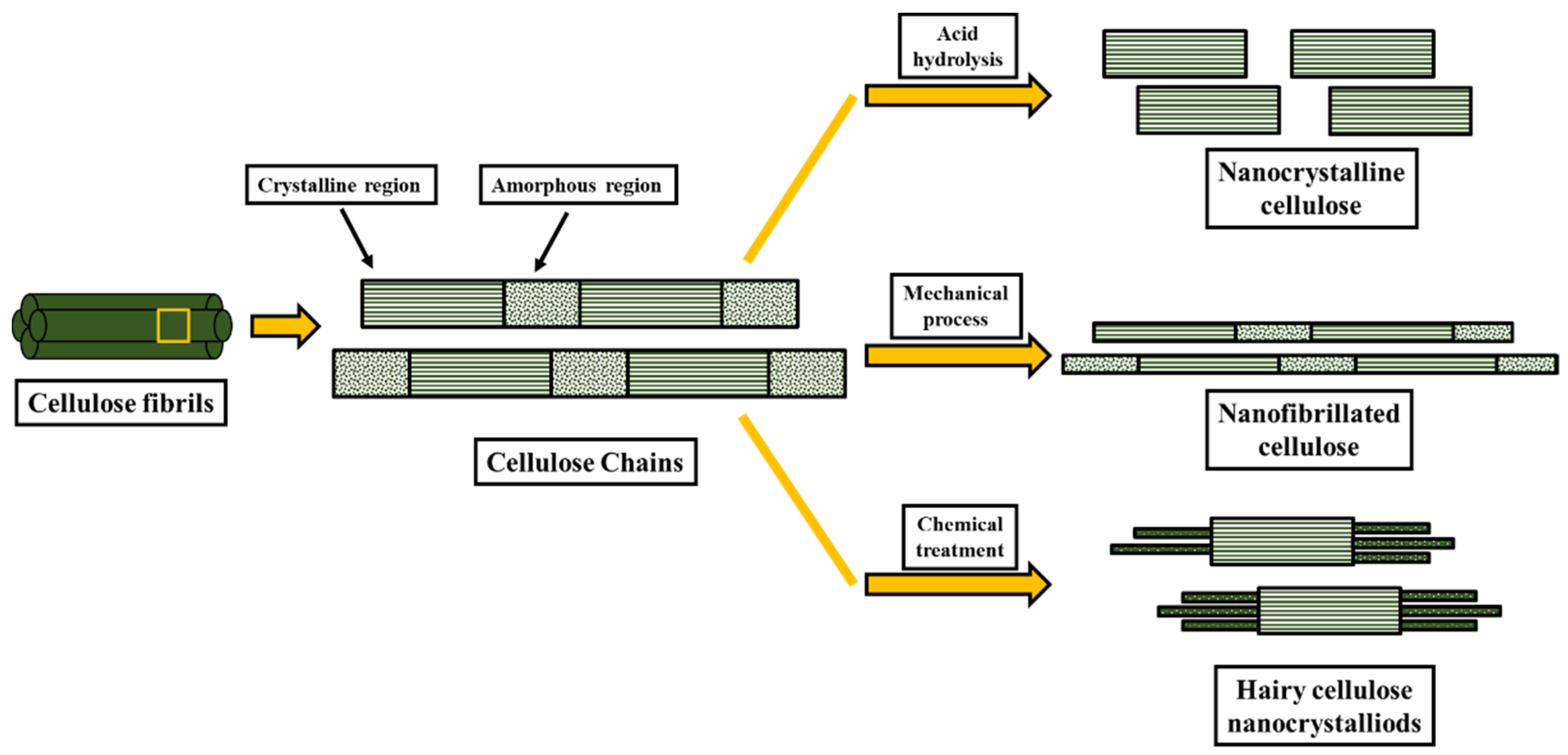Polymers 14 04468 g002