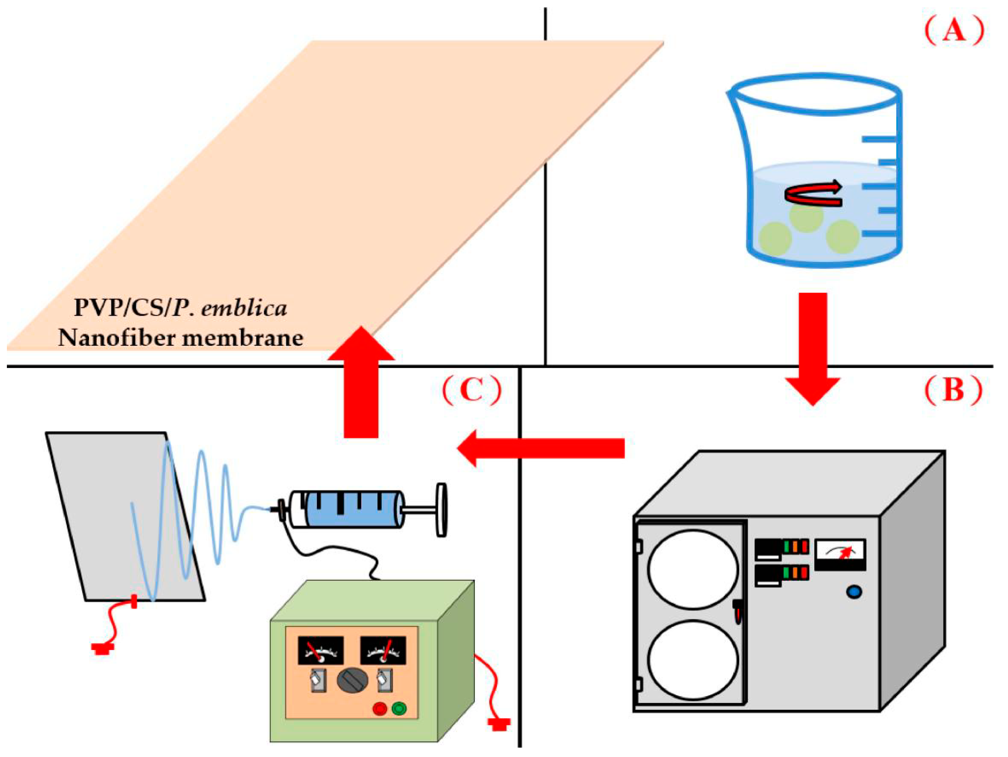 Polymers 14 04470 g001