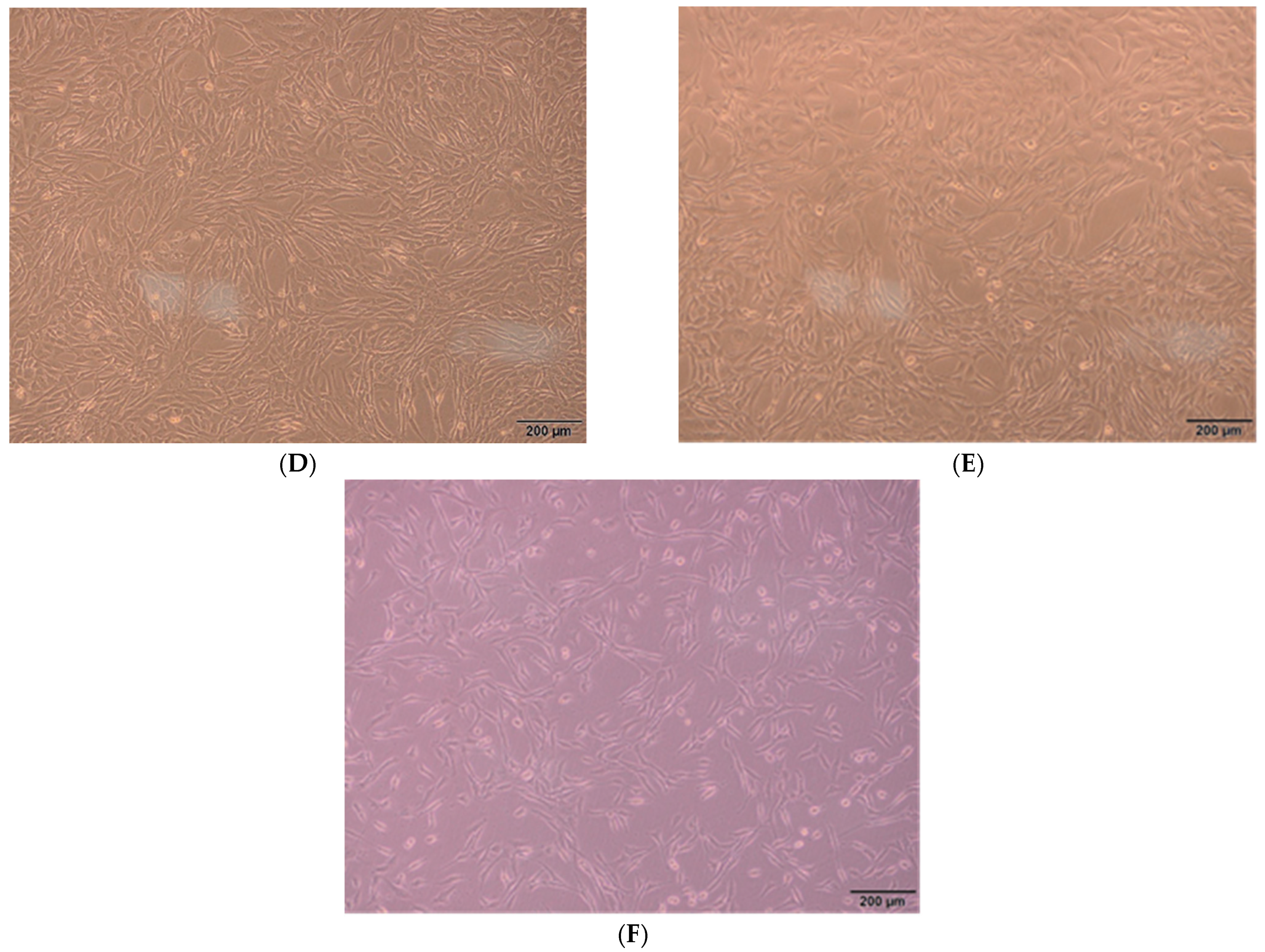 Polymers 14 04470 g009b