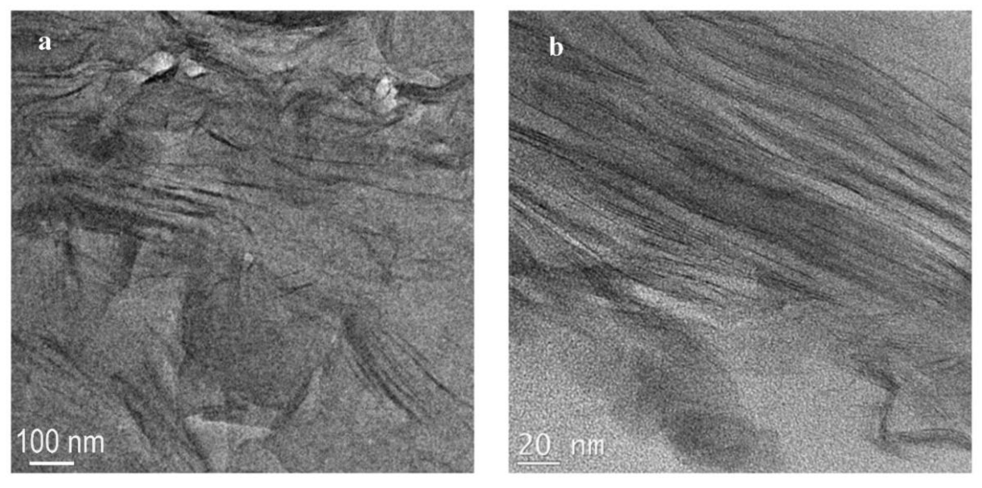 Polymers 14 04471 g008