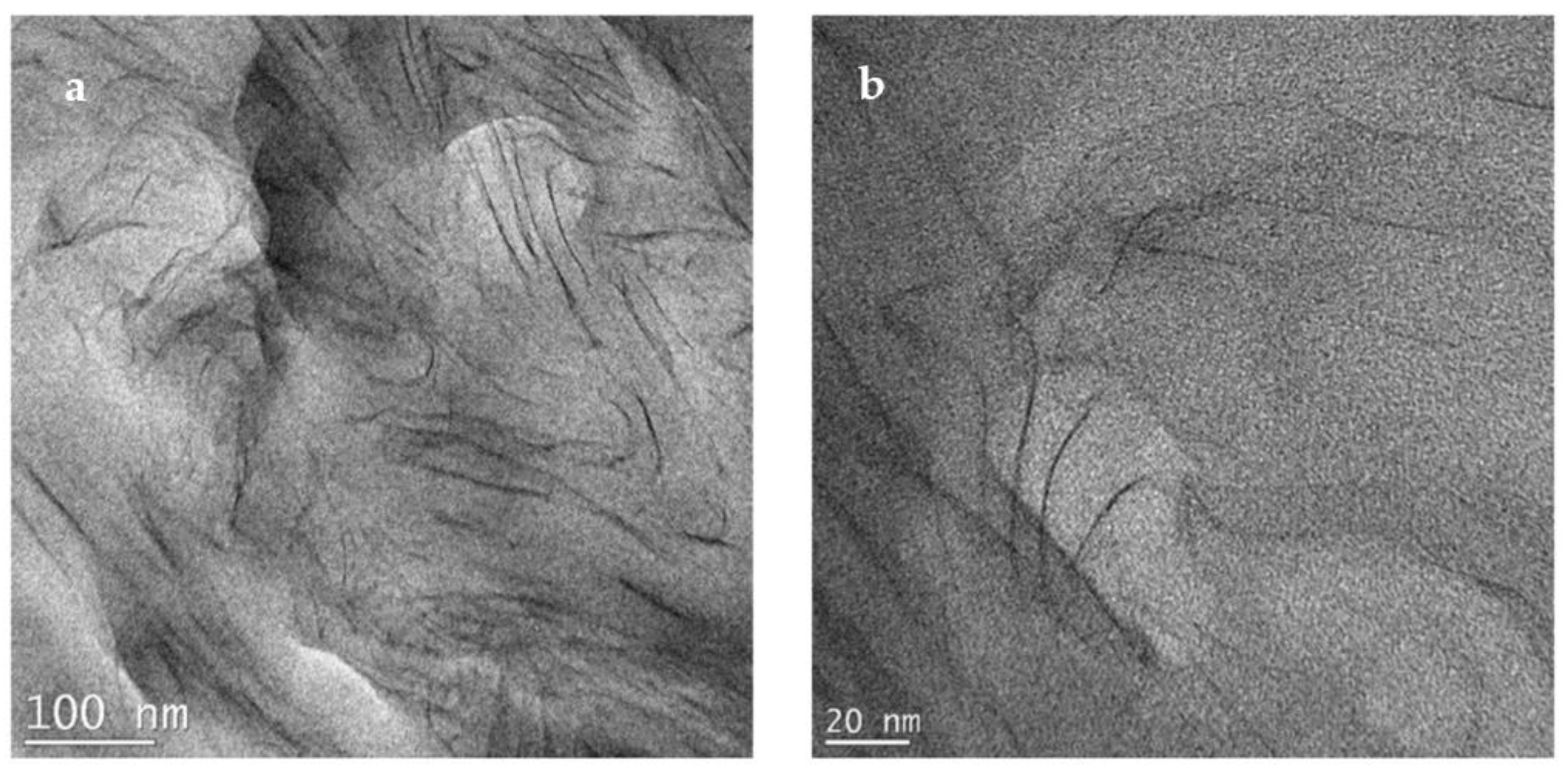 Polymers 14 04471 g009