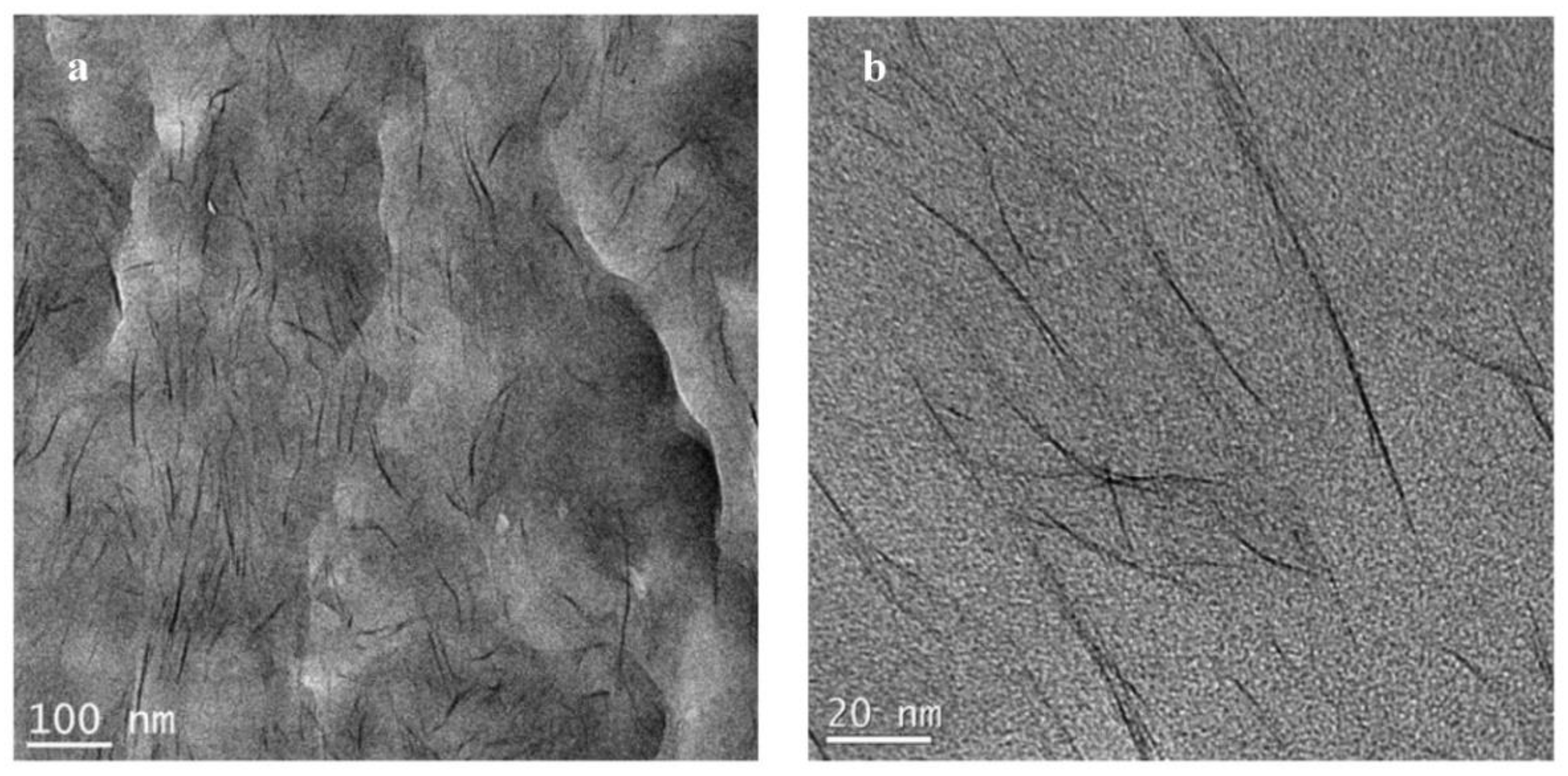 Polymers 14 04471 g010