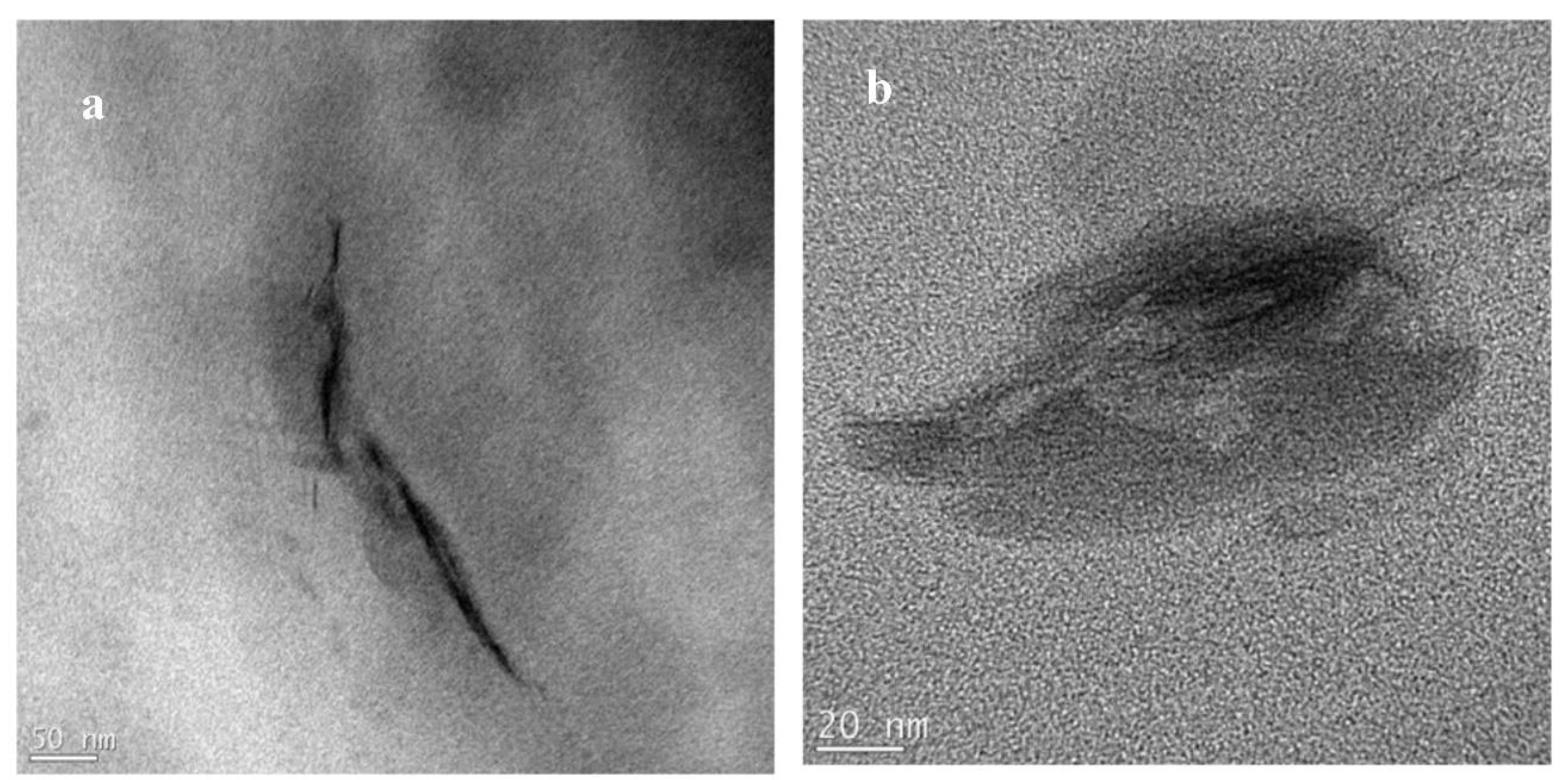 Polymers 14 04471 g011