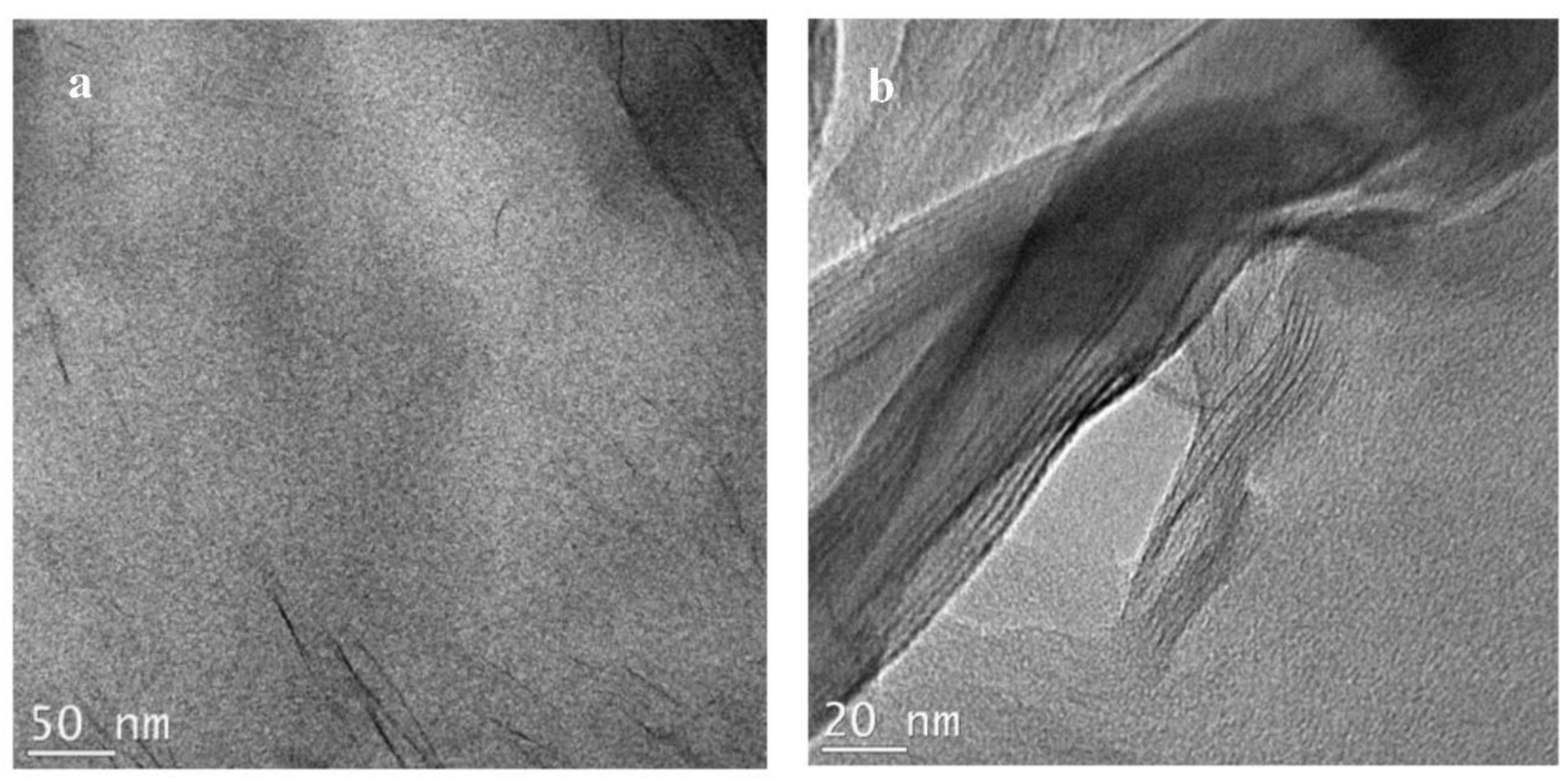 Polymers 14 04471 g012