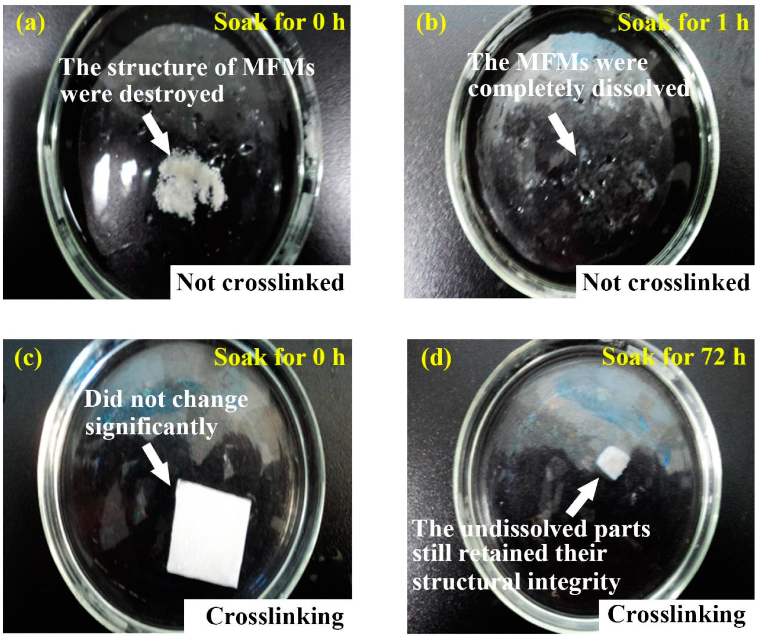 Polymers 14 04473 g007 Polymers 14 04473 g007