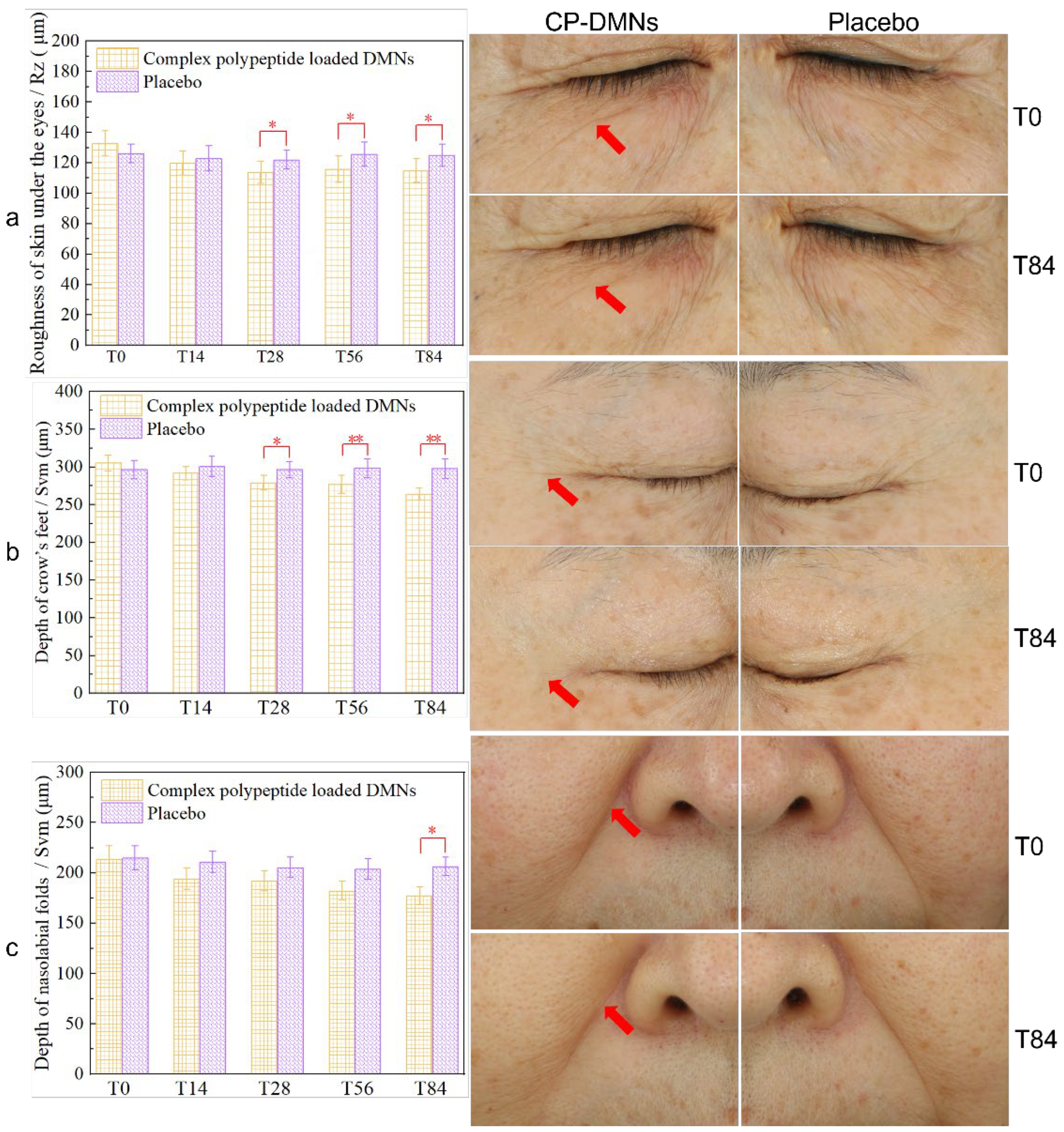 Polymers 14 04475 g005