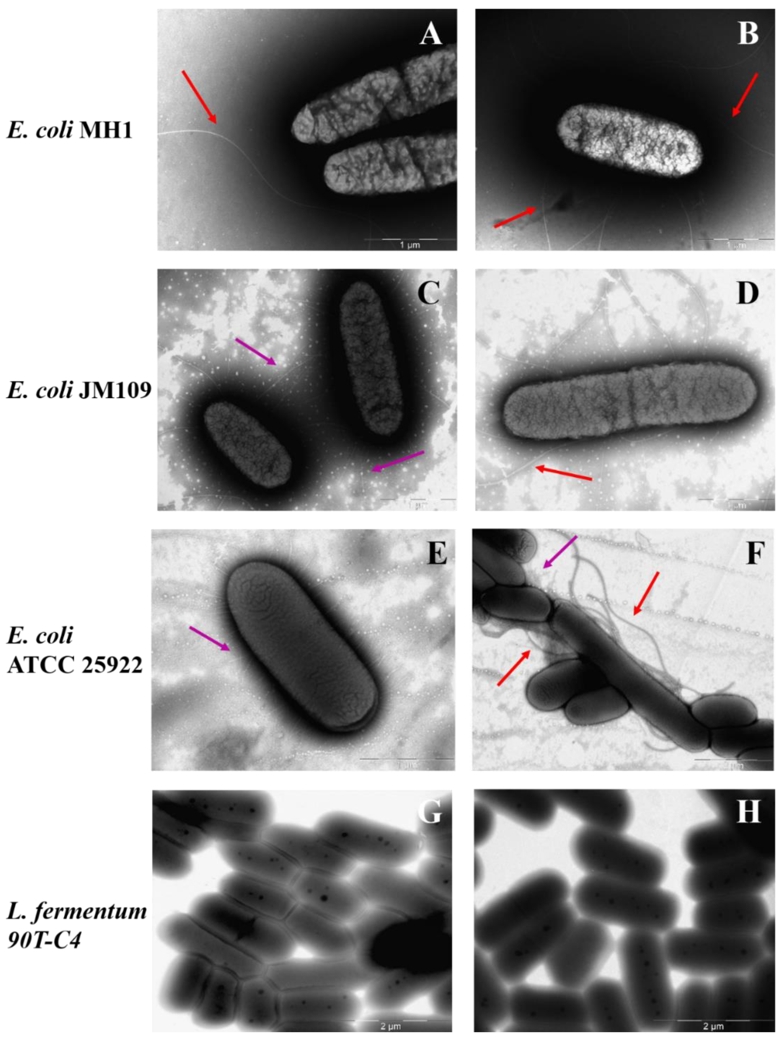 Polymers 14 04476 g008 Polymers 14 04476 g008