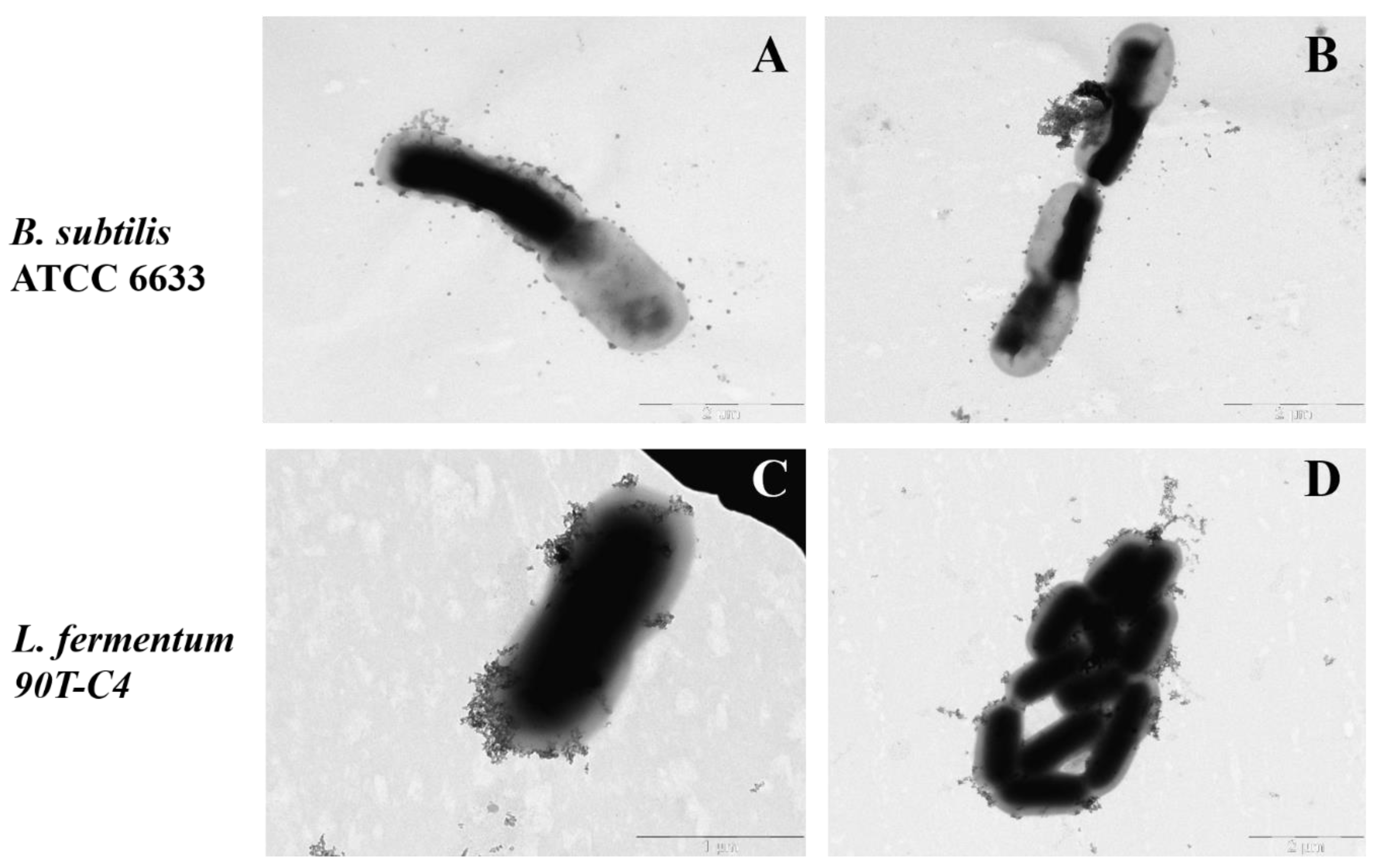 Polymers 14 04476 g009 Polymers 14 04476 g009