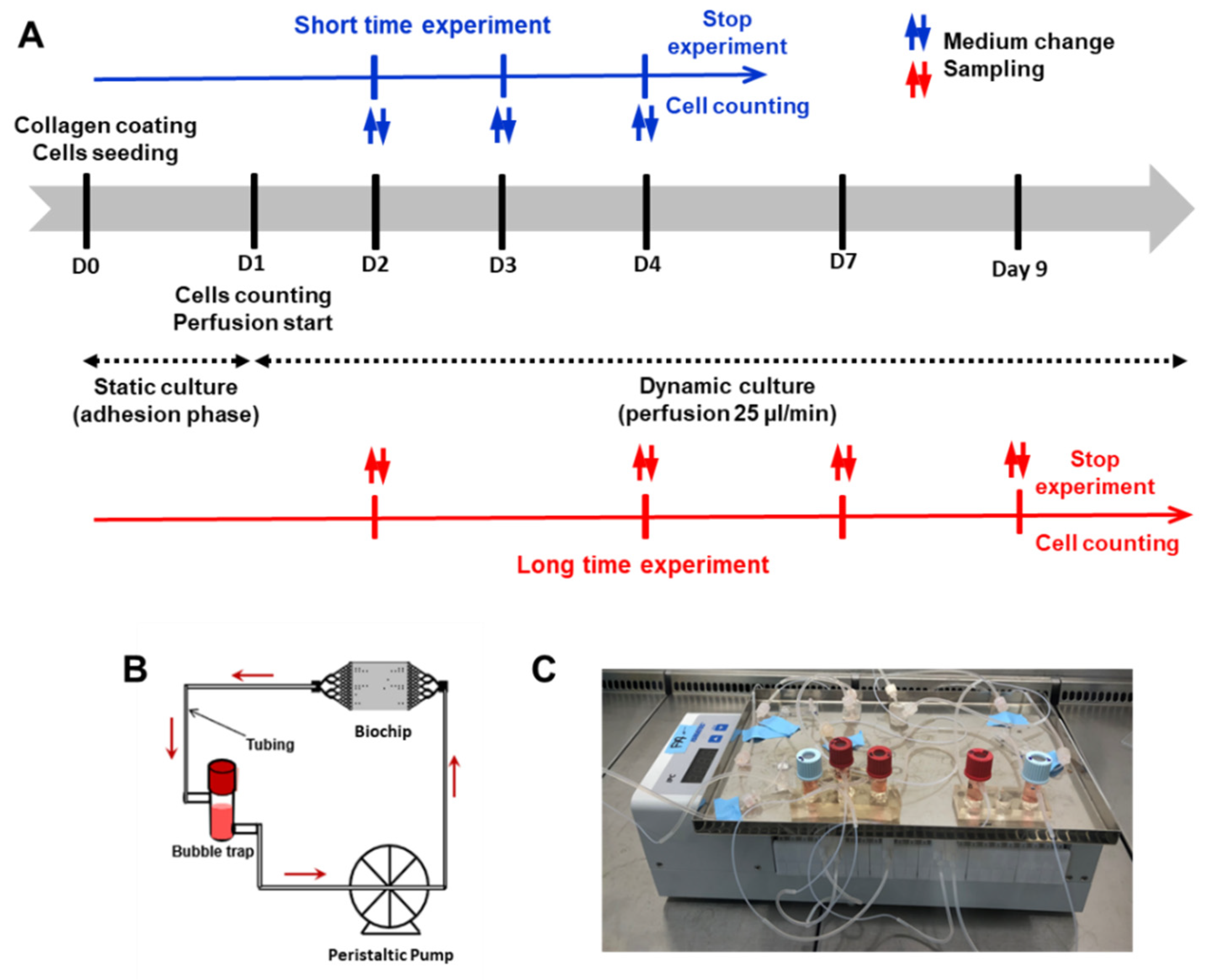 Polymers 14 04478 g002